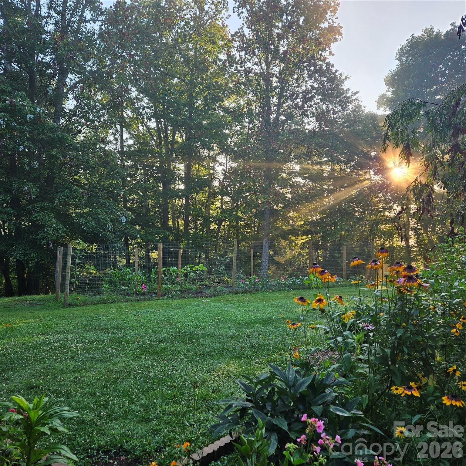 649 Upper Bailey Branch Road — Mars Hill
