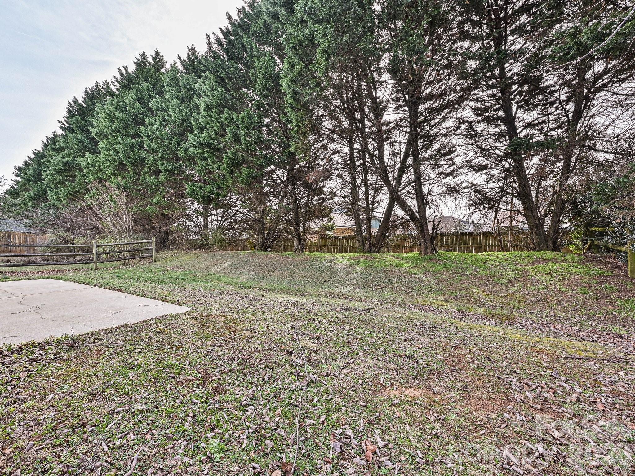 11726 Black Maple Avenue — Charlotte