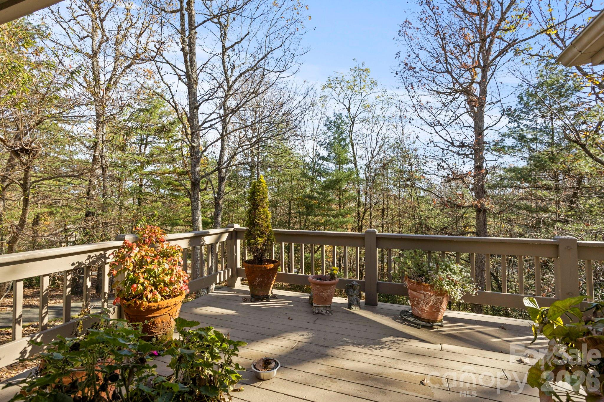 231 Greenleaf Drive — Flat Rock