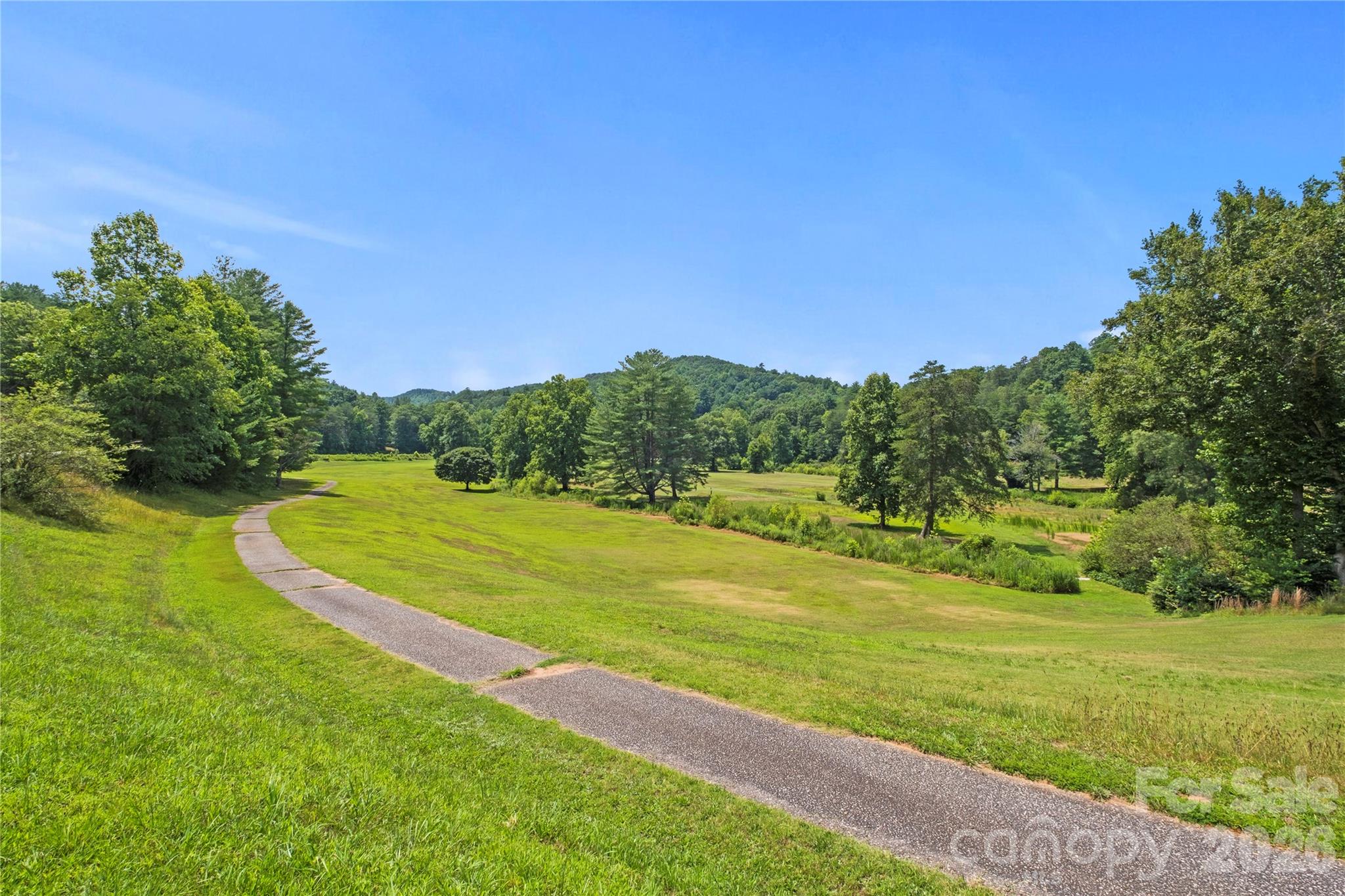 5545 Pine Ridge Drive — Connelly Springs