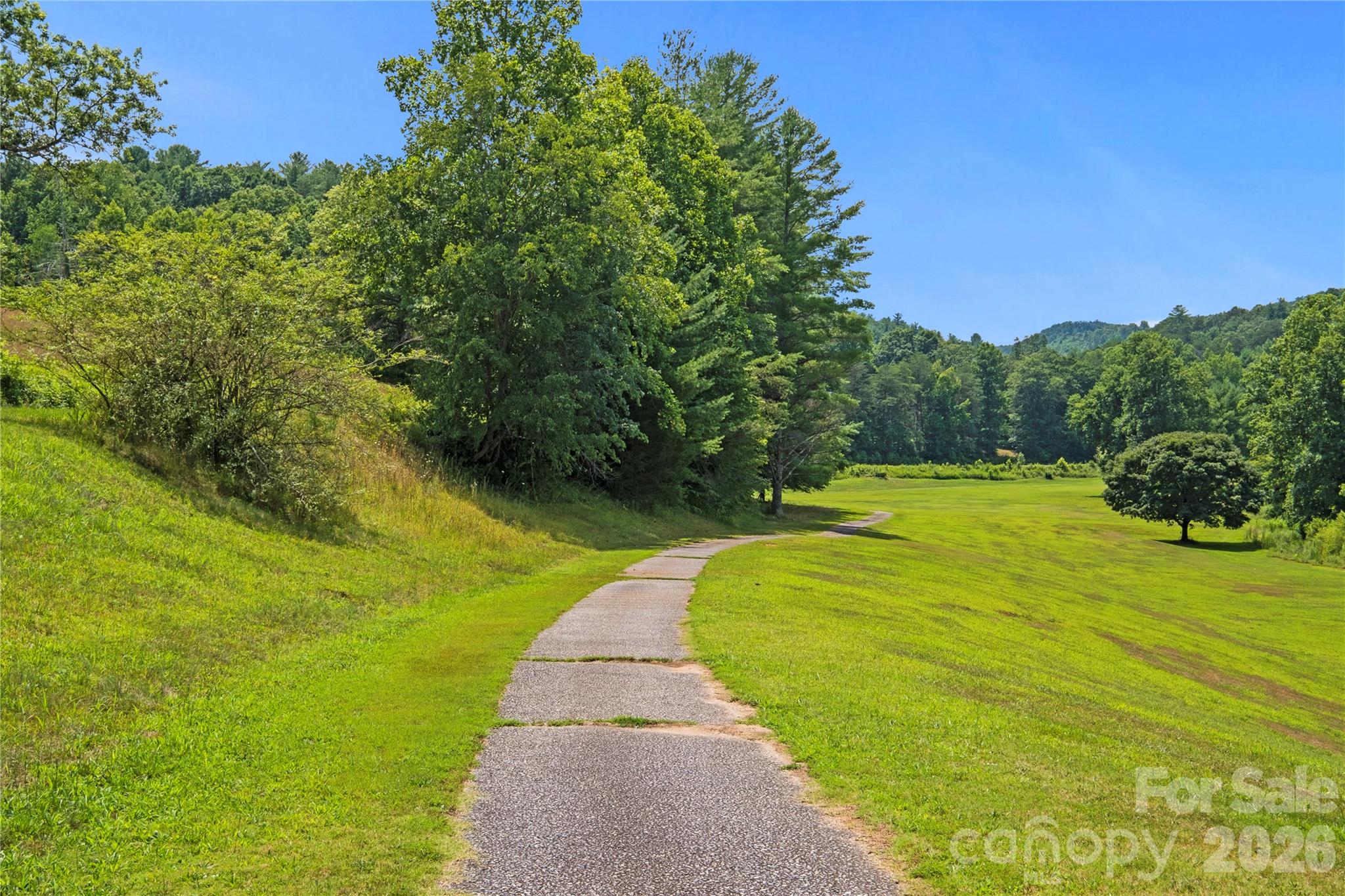 5545 Pine Ridge Drive — Connelly Springs