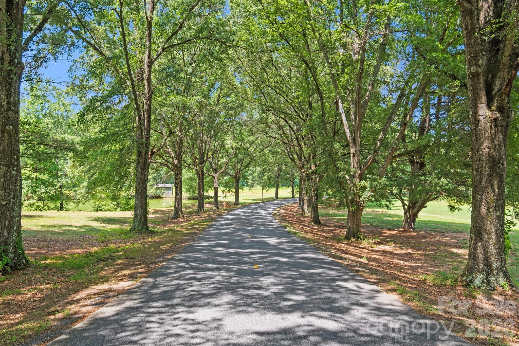 5545 Pine Ridge Drive — Connelly Springs