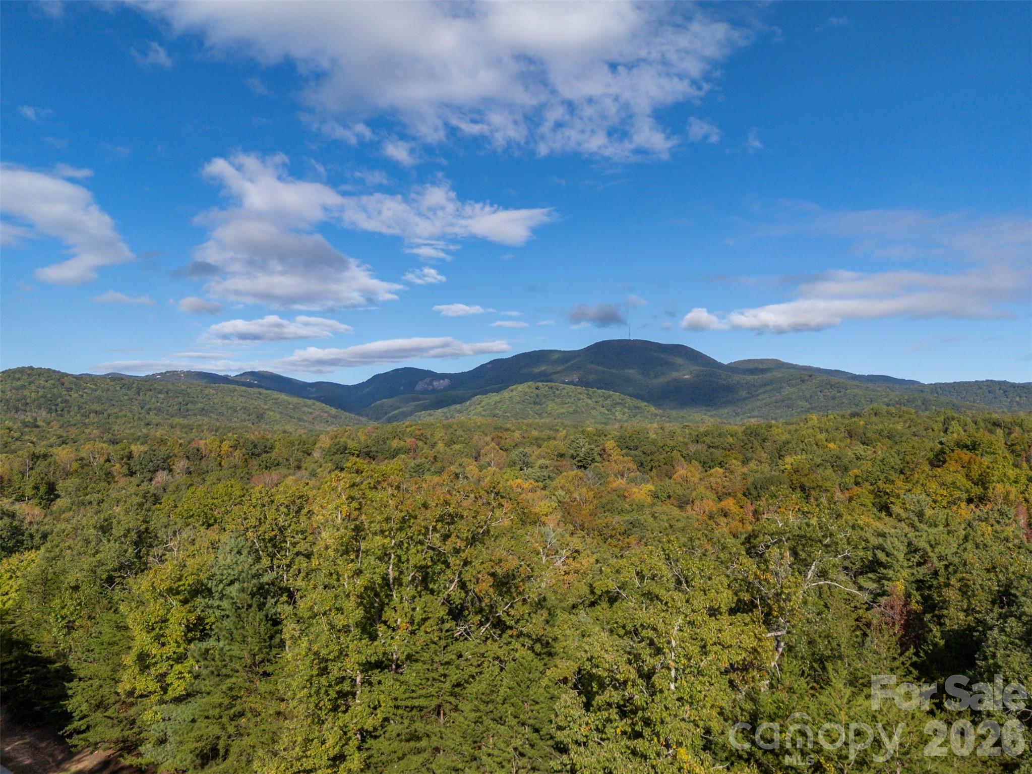 100 Pardo Road — Landrum