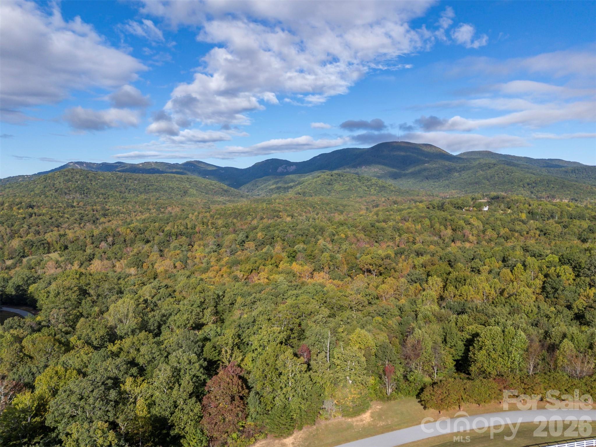 100 Pardo Road — Landrum