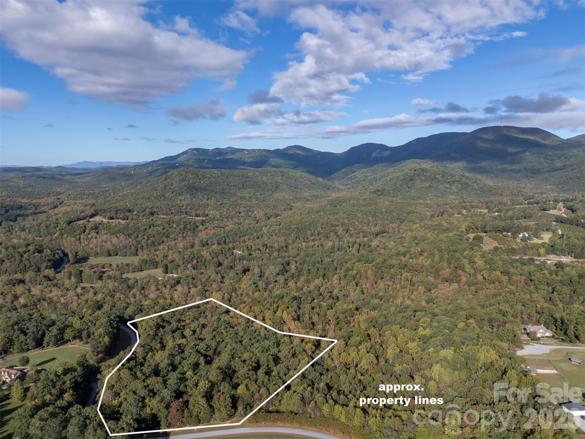100 Pardo Road — Landrum
