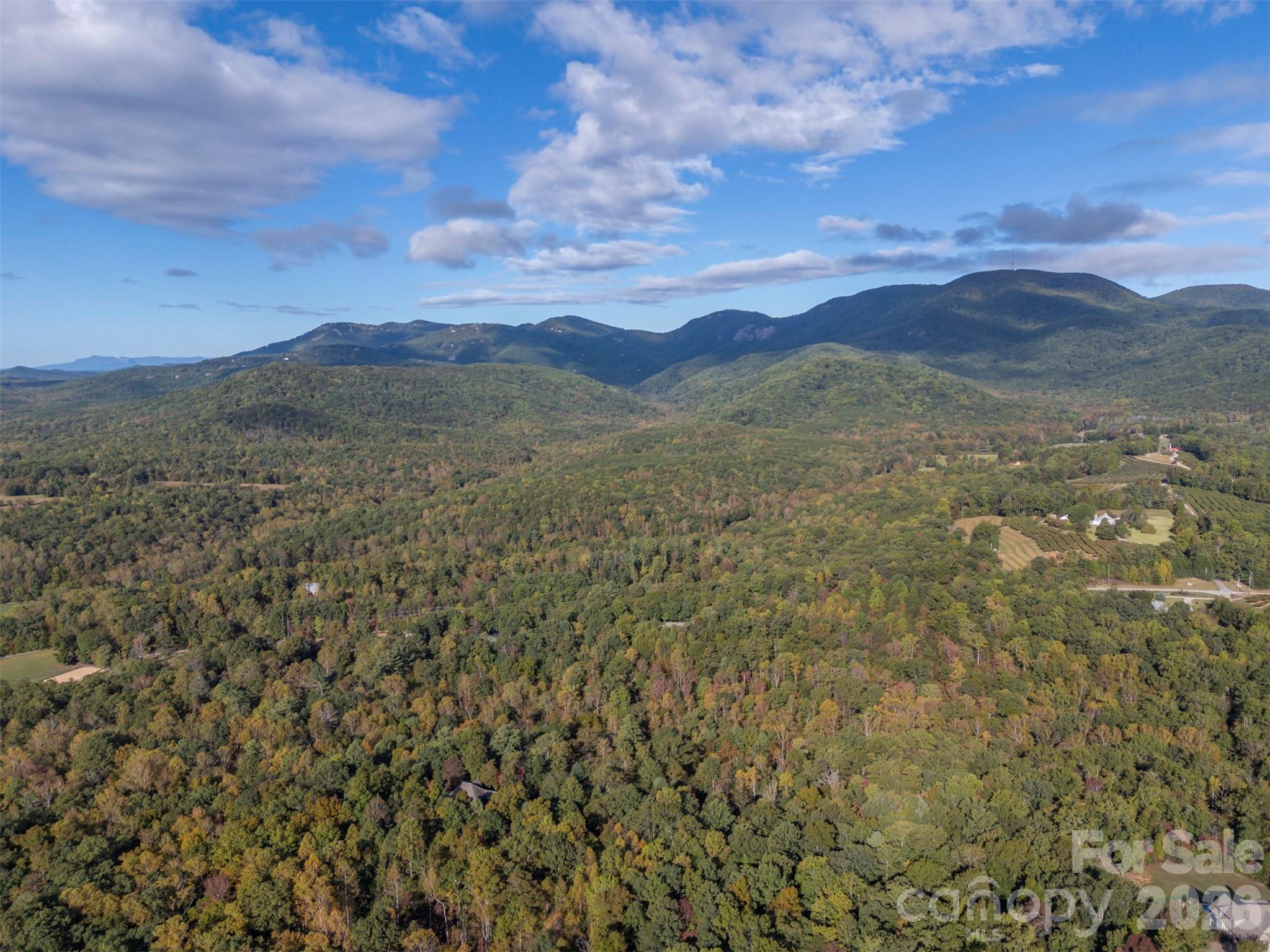100 Pardo Road — Landrum