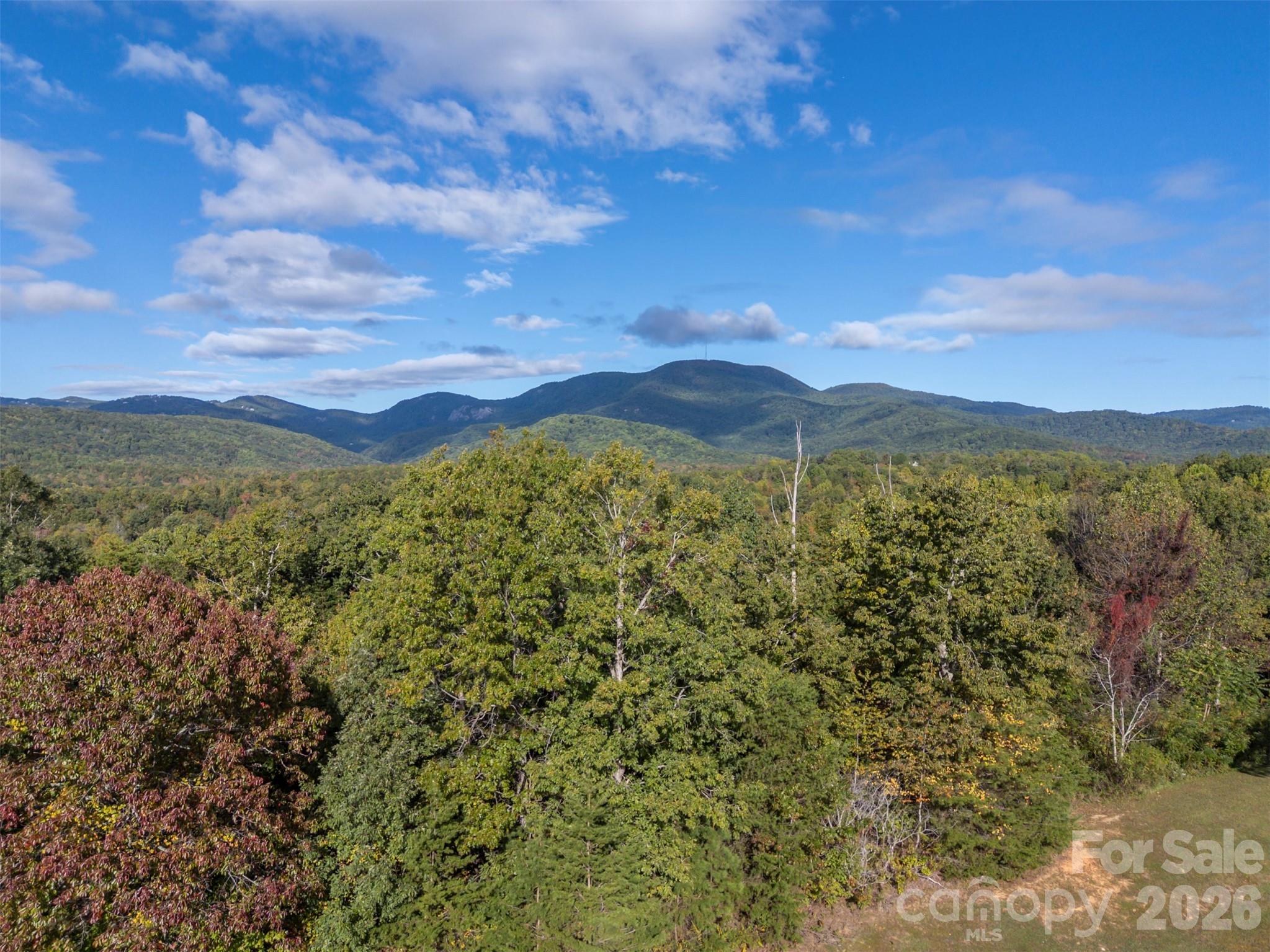 100 Pardo Road — Landrum