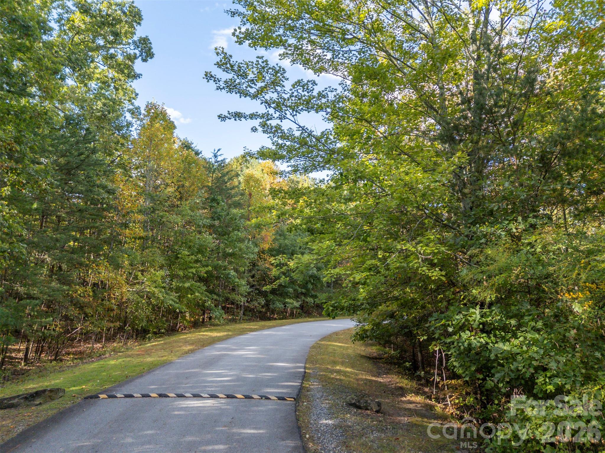 100 Pardo Road — Landrum
