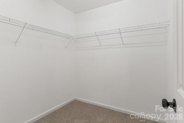 11619 Planters Estates Drive — Charlotte