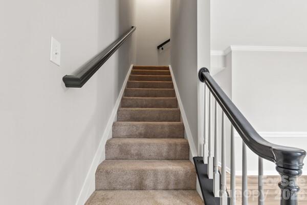 11619 Planters Estates Drive — Charlotte