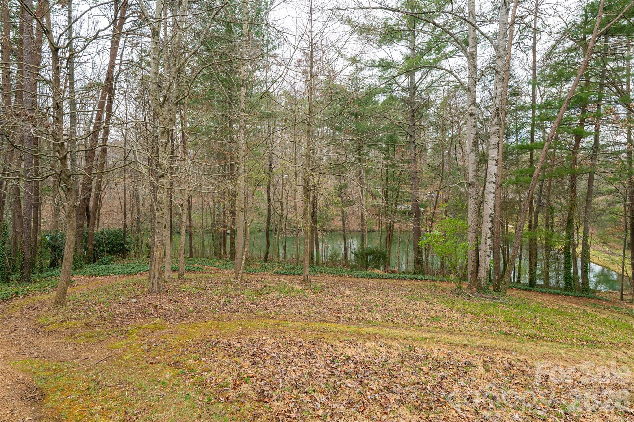 21 Pine Tree Circle — Asheville