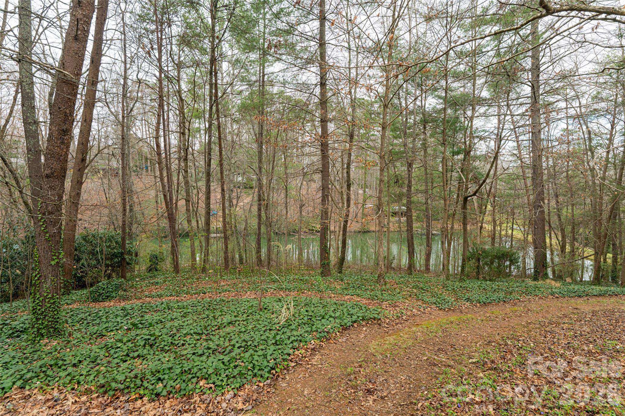 21 Pine Tree Circle — Asheville