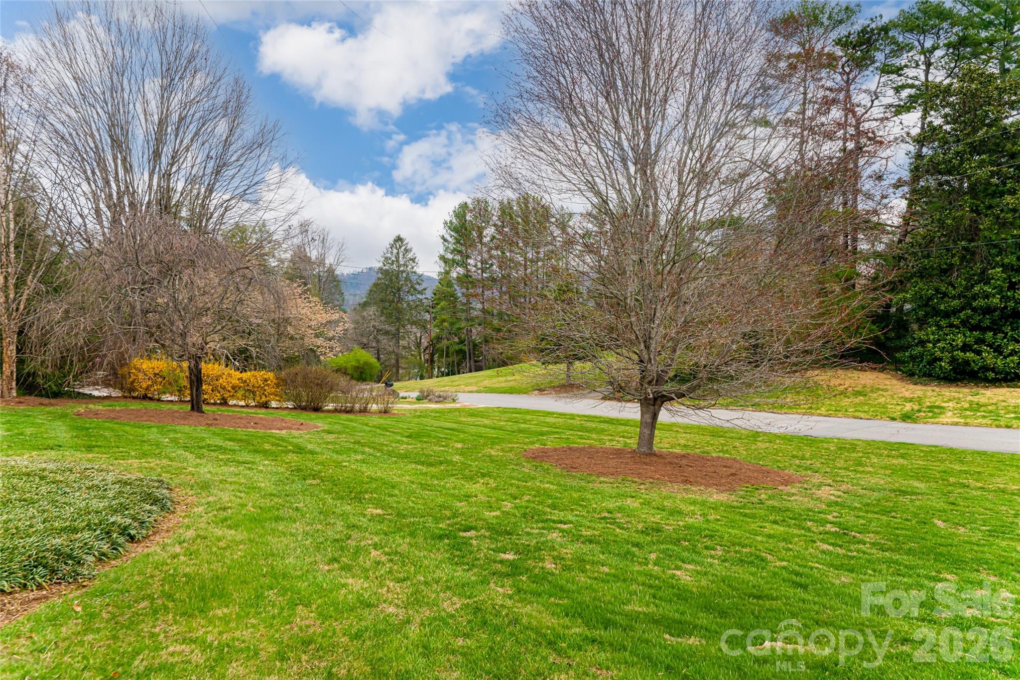21 Pine Tree Circle — Asheville