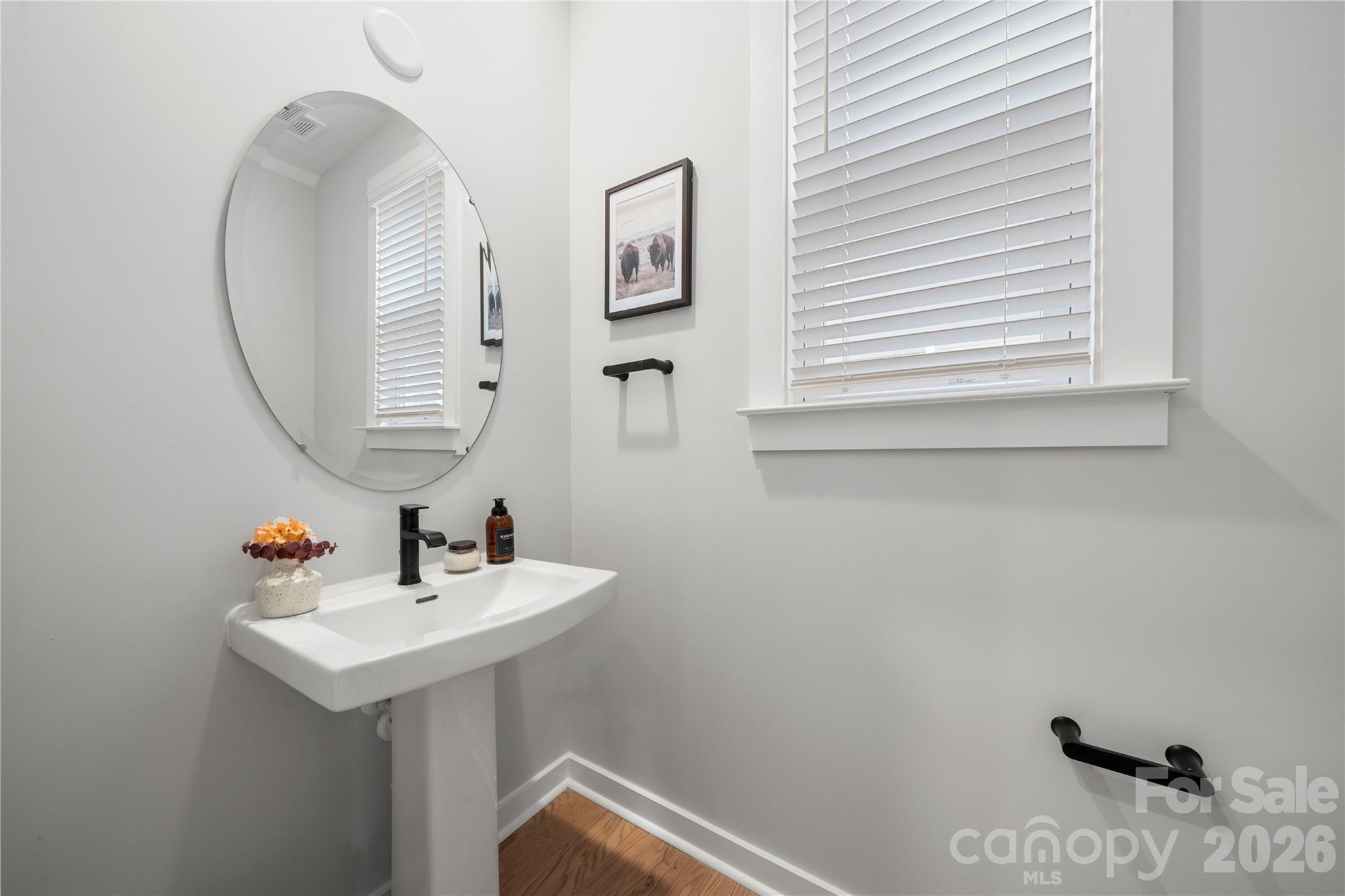 14028 Lake Home Lane — Charlotte