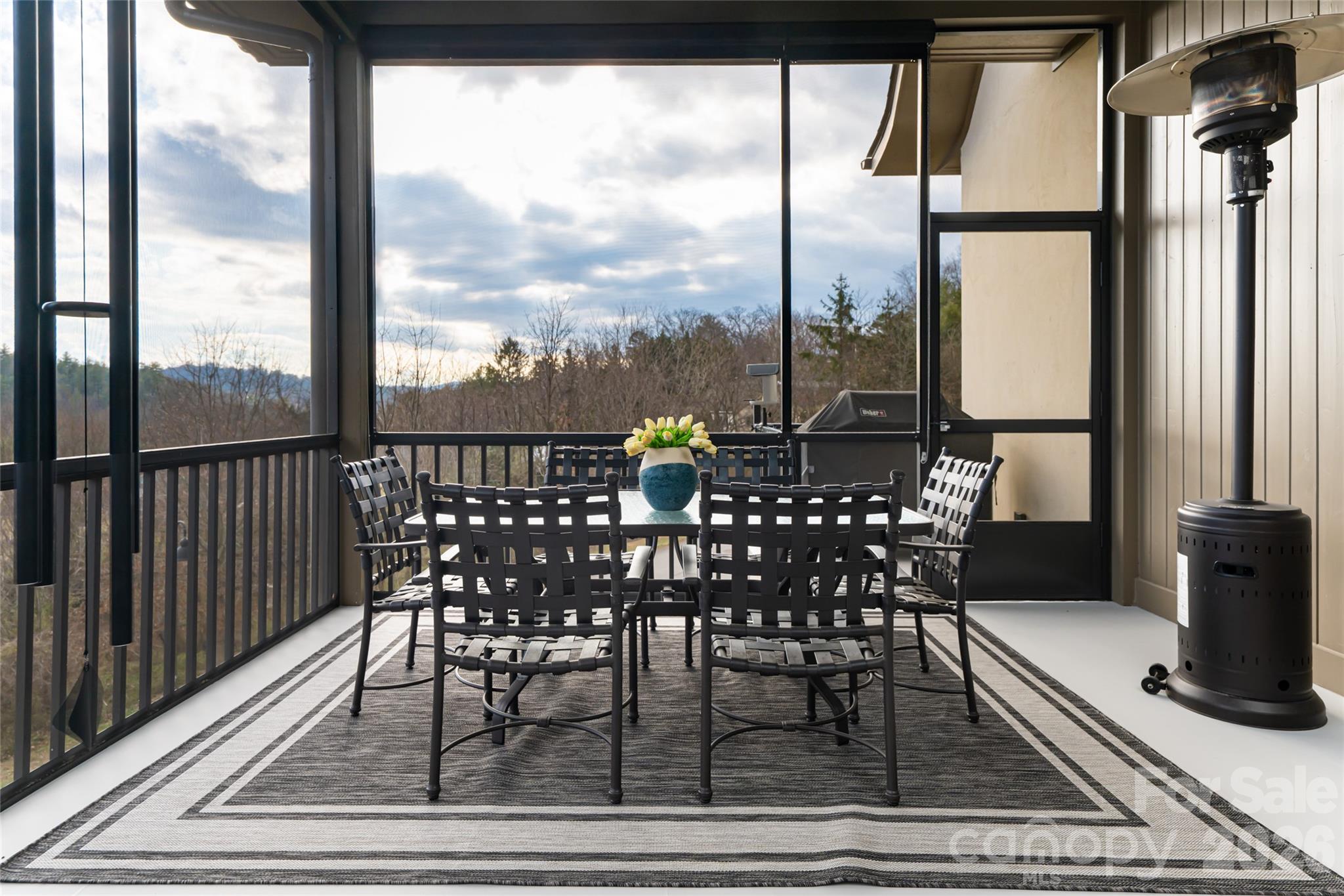 22 Snap Dragon Court — Asheville