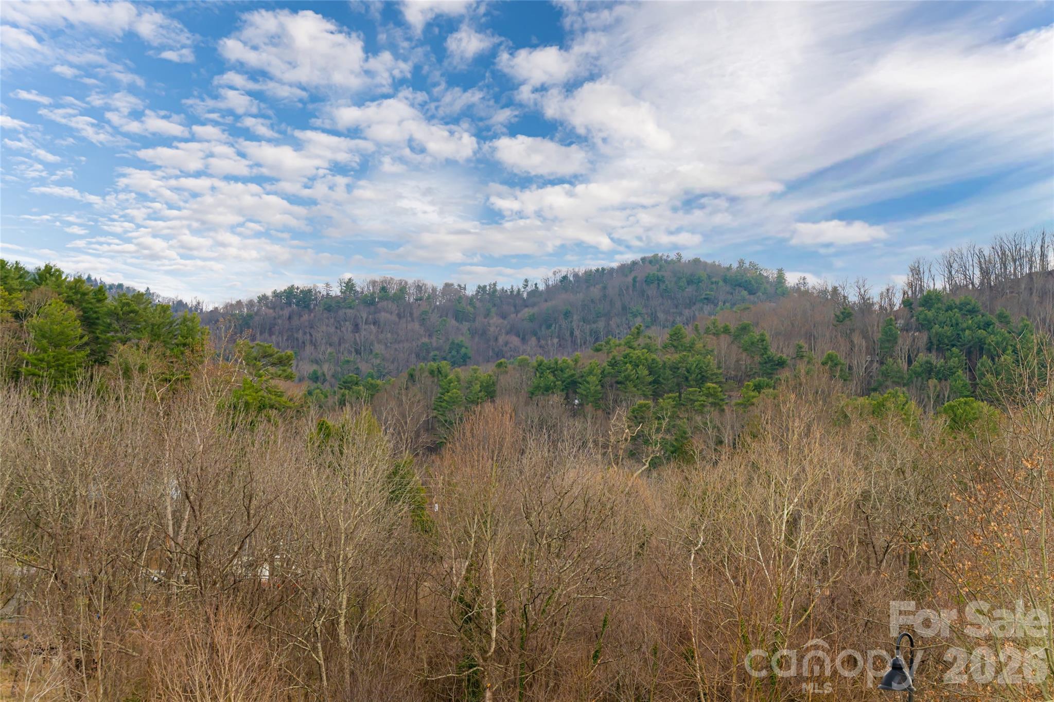 22 Snap Dragon Court — Asheville