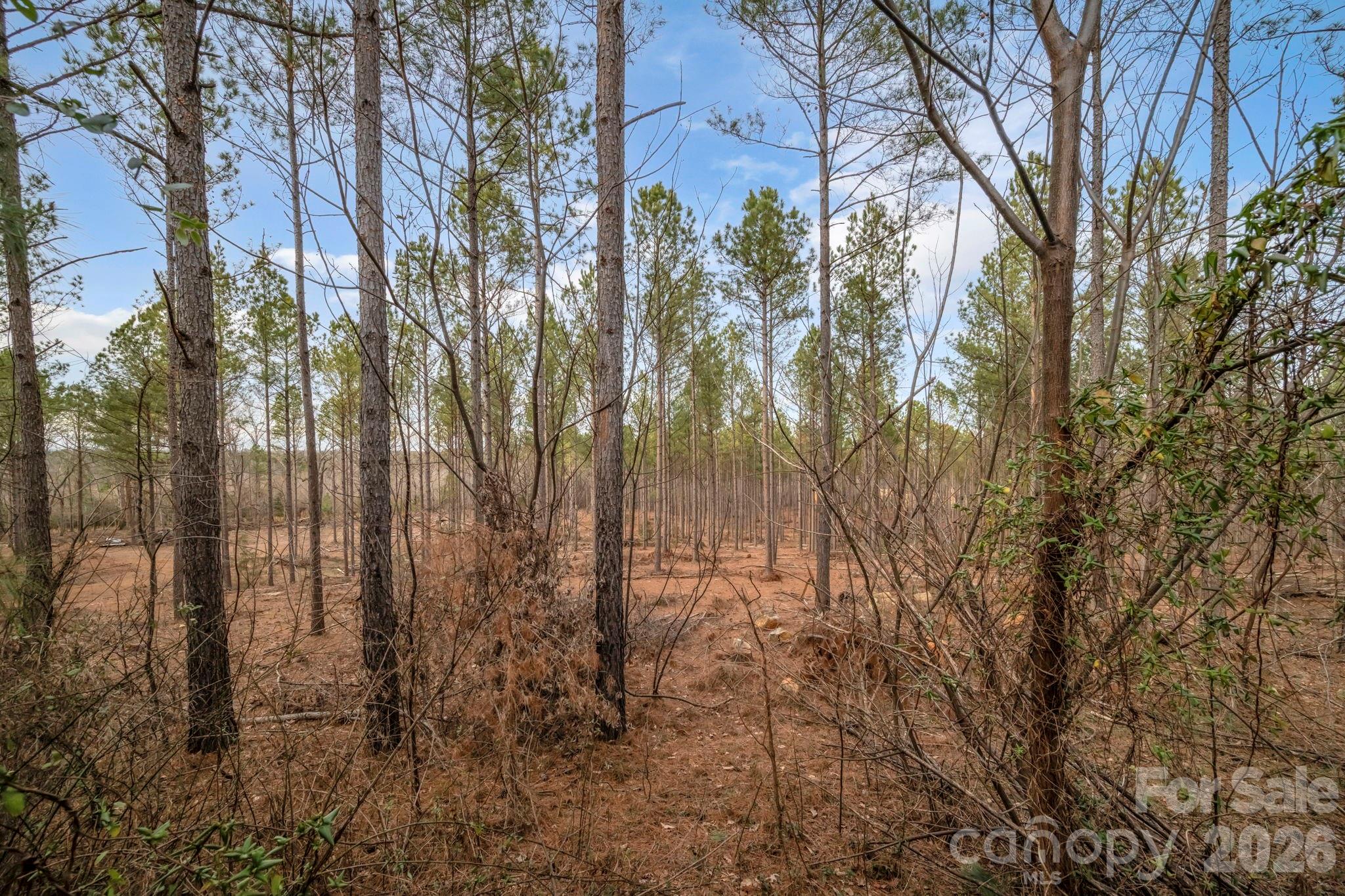 7812 Hwy 742 Highway — Marshville
