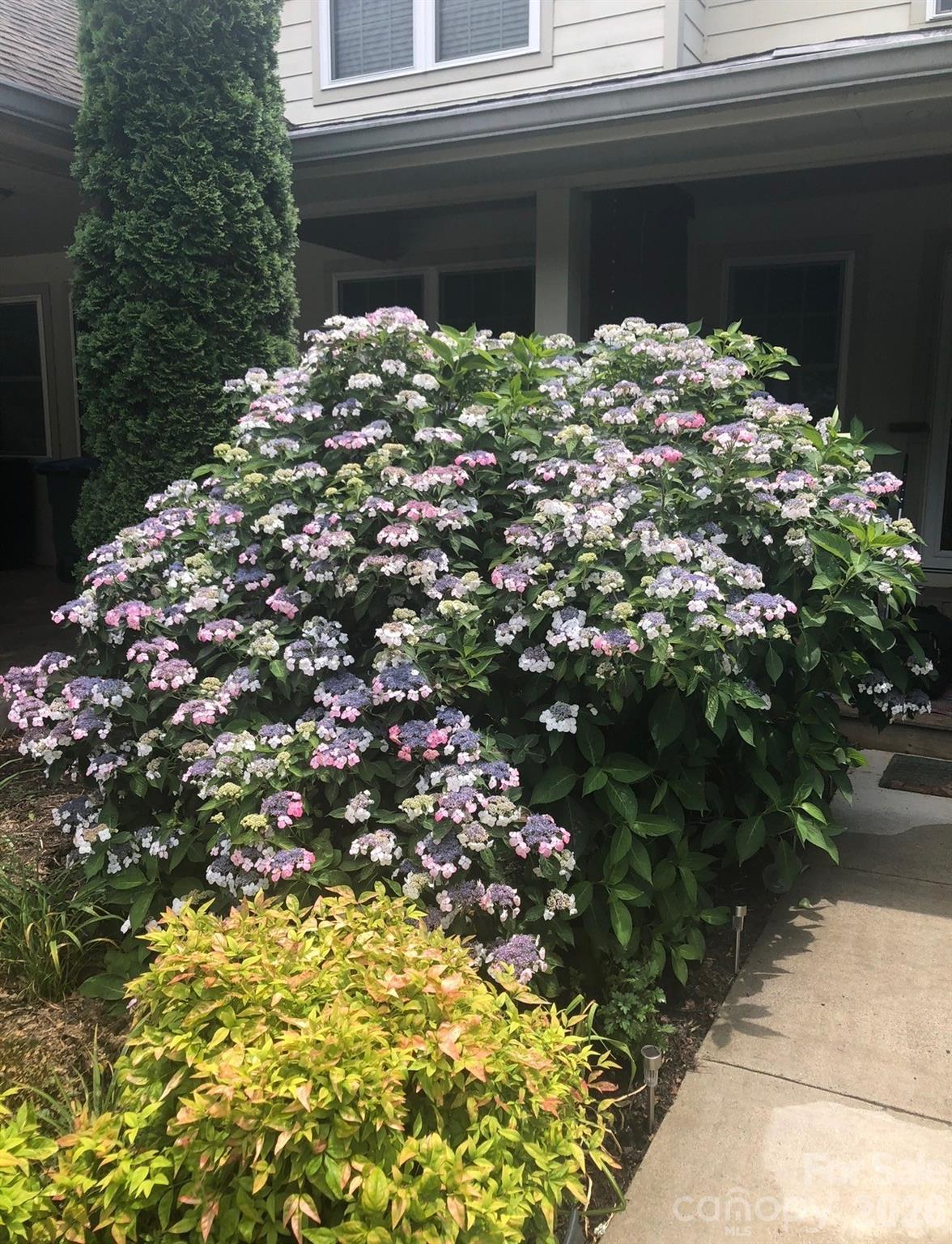 10 Aberdeen Drive — Arden