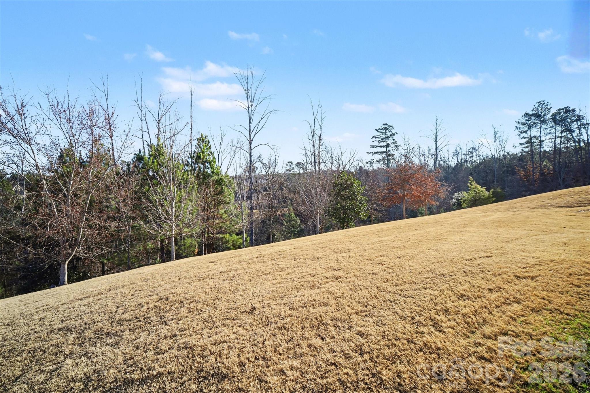 15828 Vale Ridge Drive — Charlotte