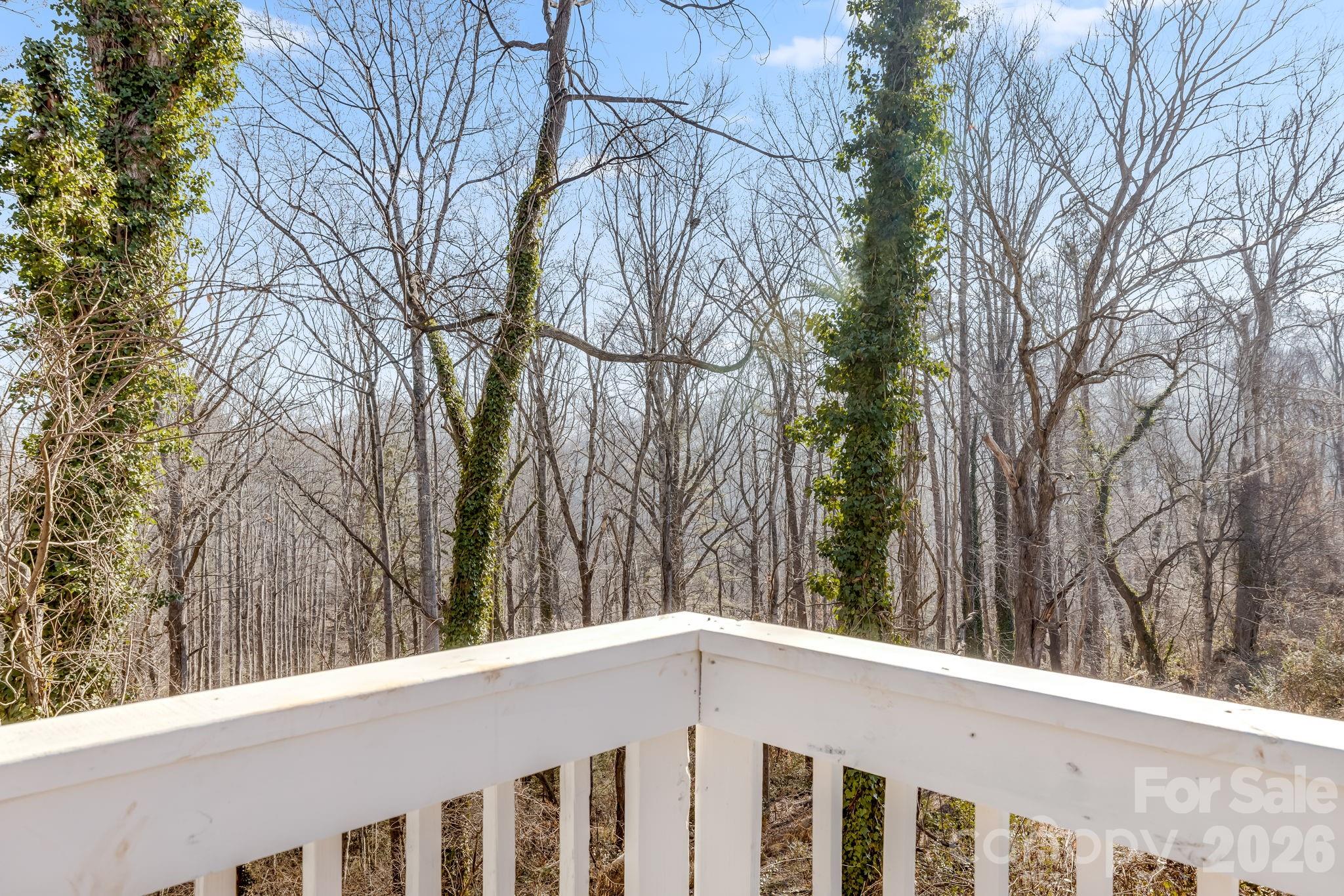 64 Pleasant Ridge Drive — Asheville