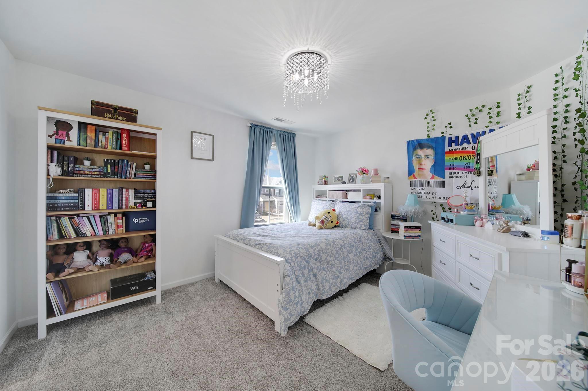 14125 Canemeadow Drive — Charlotte