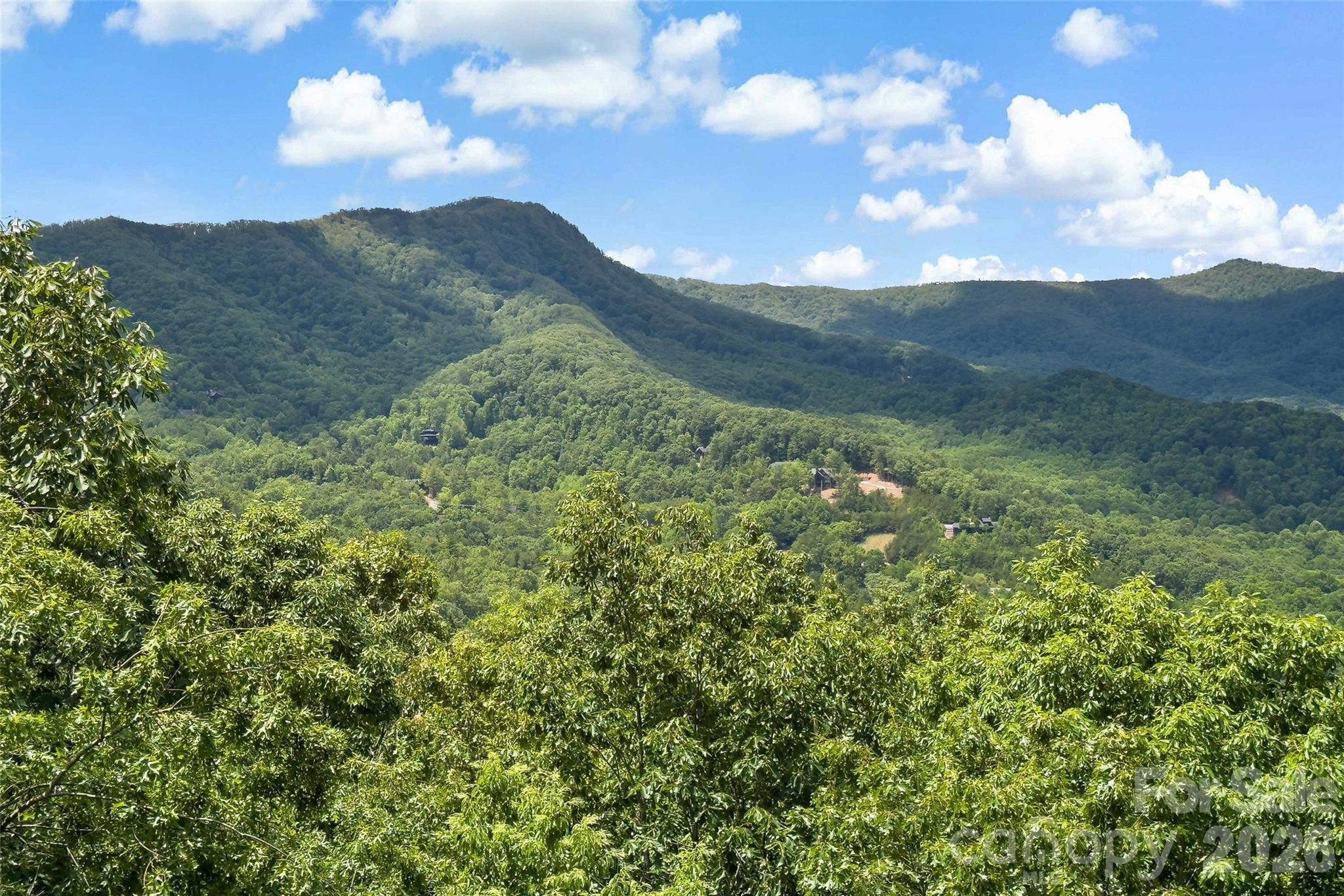 65 Timber Park Drive — Black Mountain