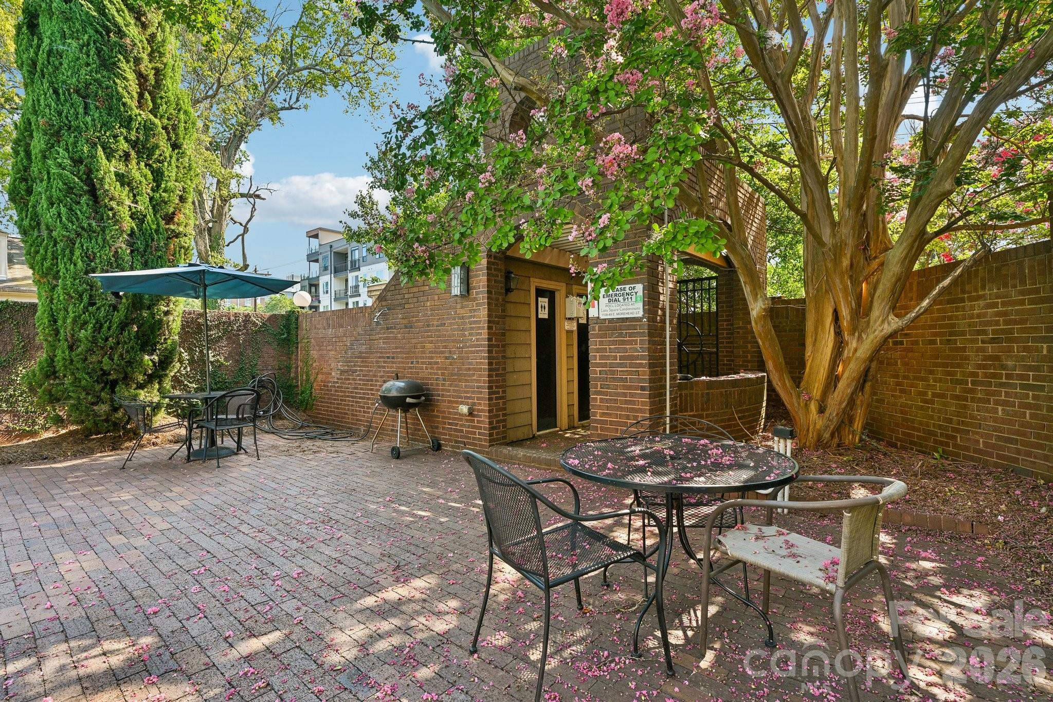 1109 E Morehead Street #16 — Charlotte