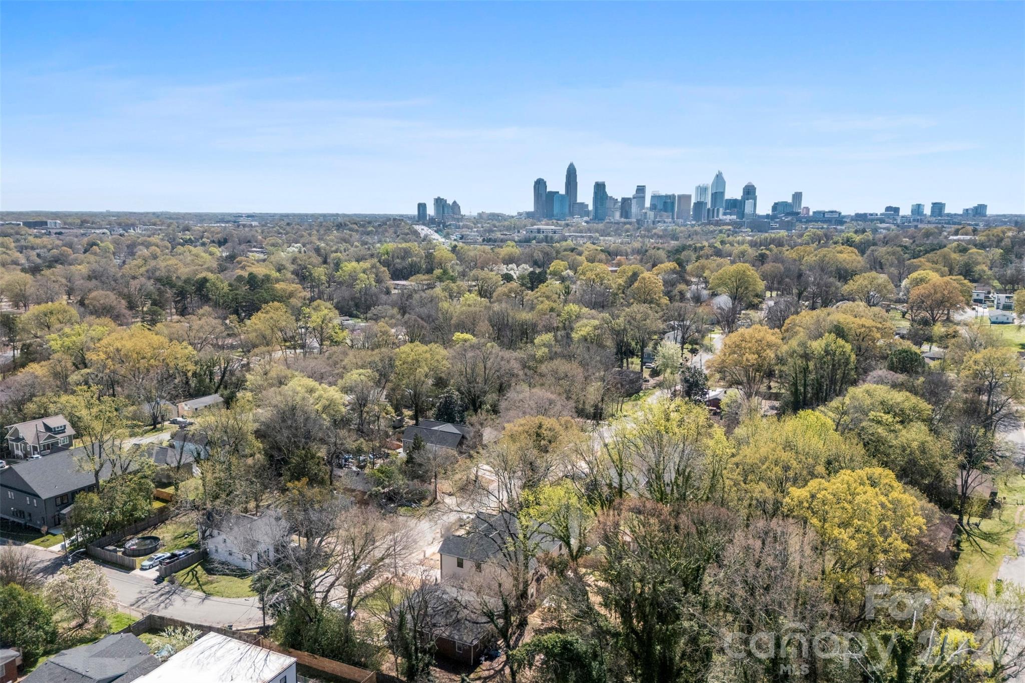 1331 Condon Street — Charlotte