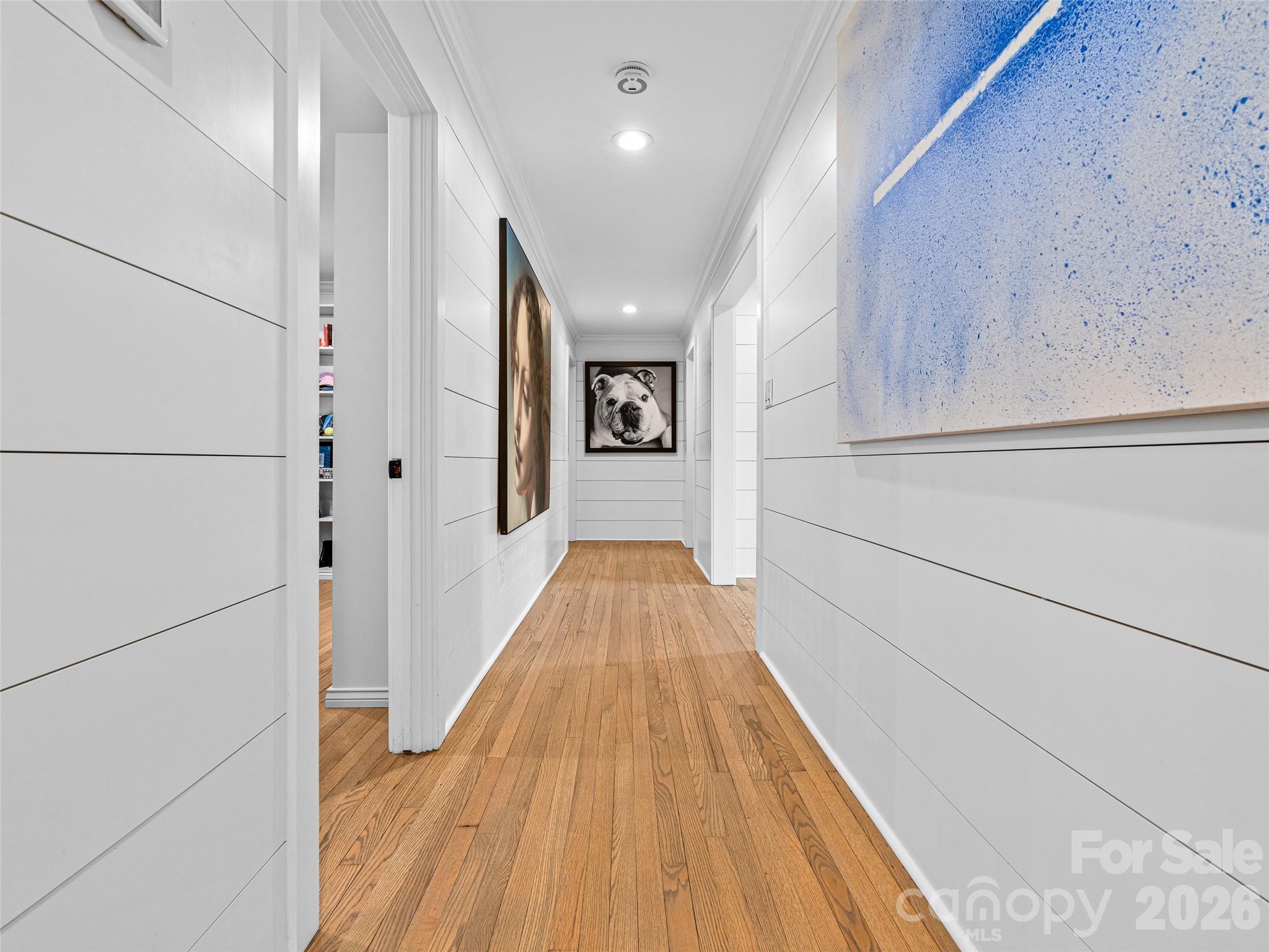 51 Forest Road — Asheville