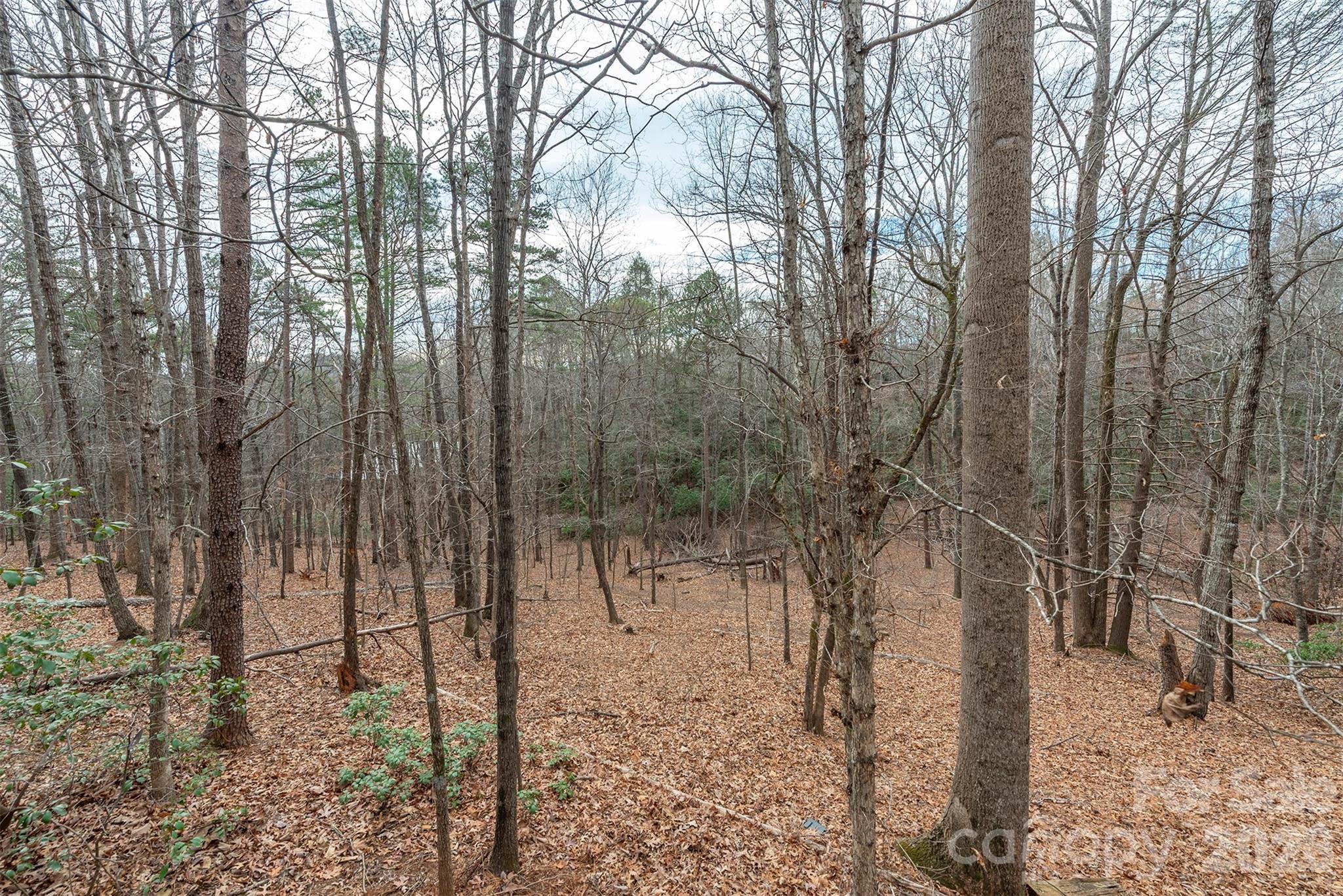 145 Flynn Court — Lake Lure