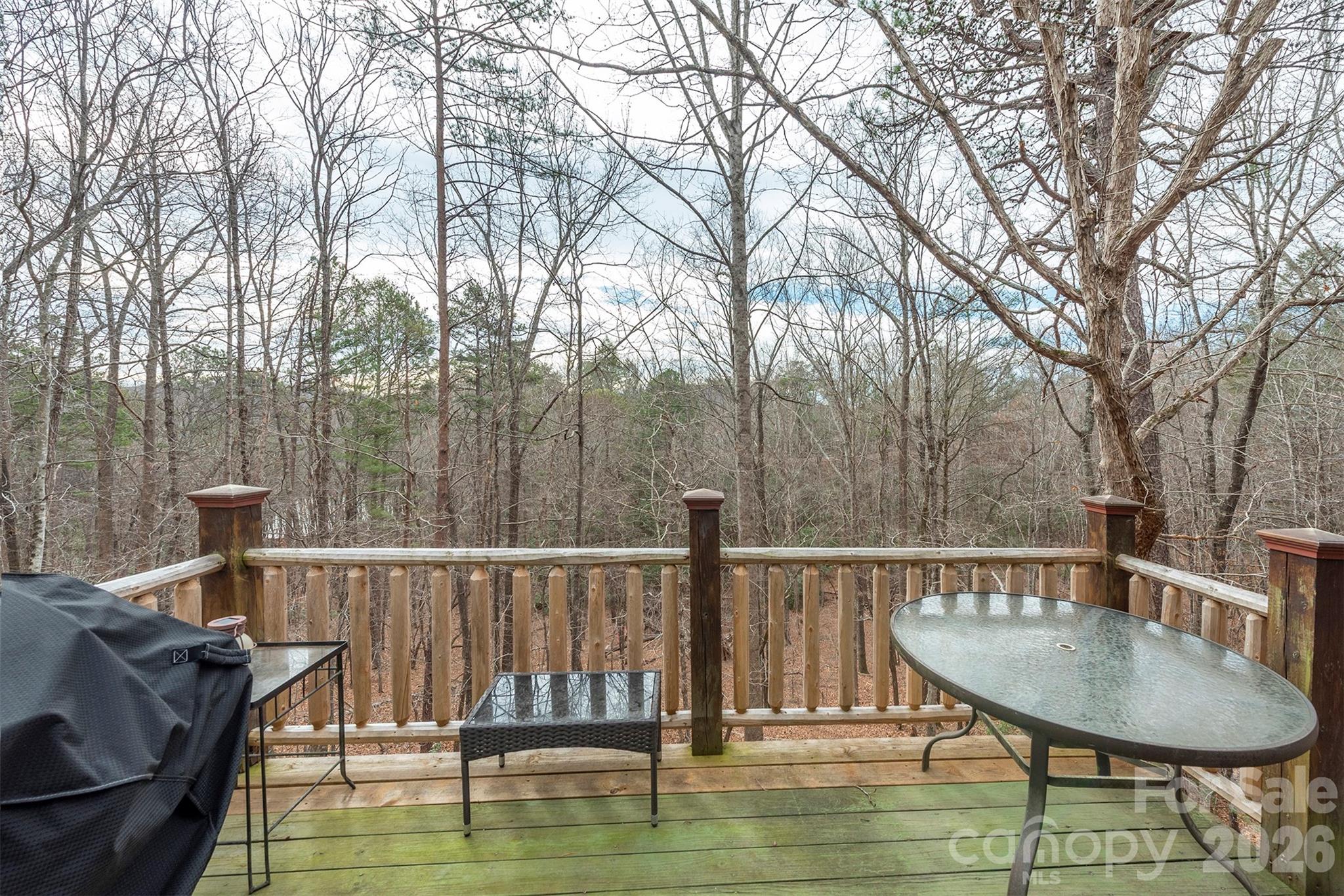 145 Flynn Court — Lake Lure