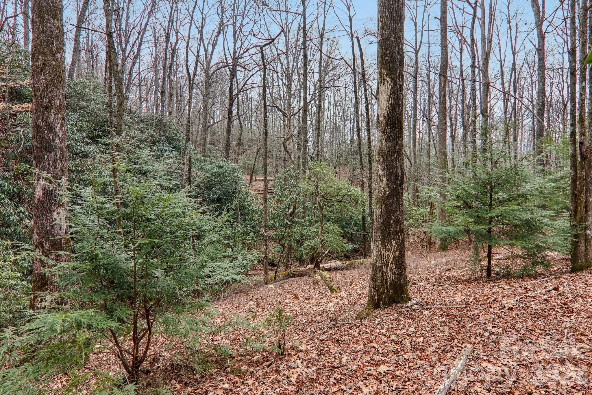 71 N Setsi Lane — Brevard