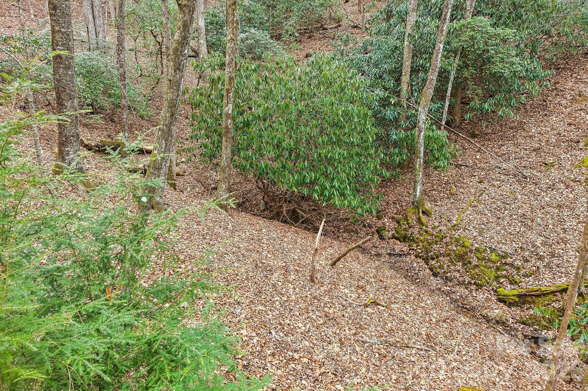 71 N Setsi Lane — Brevard