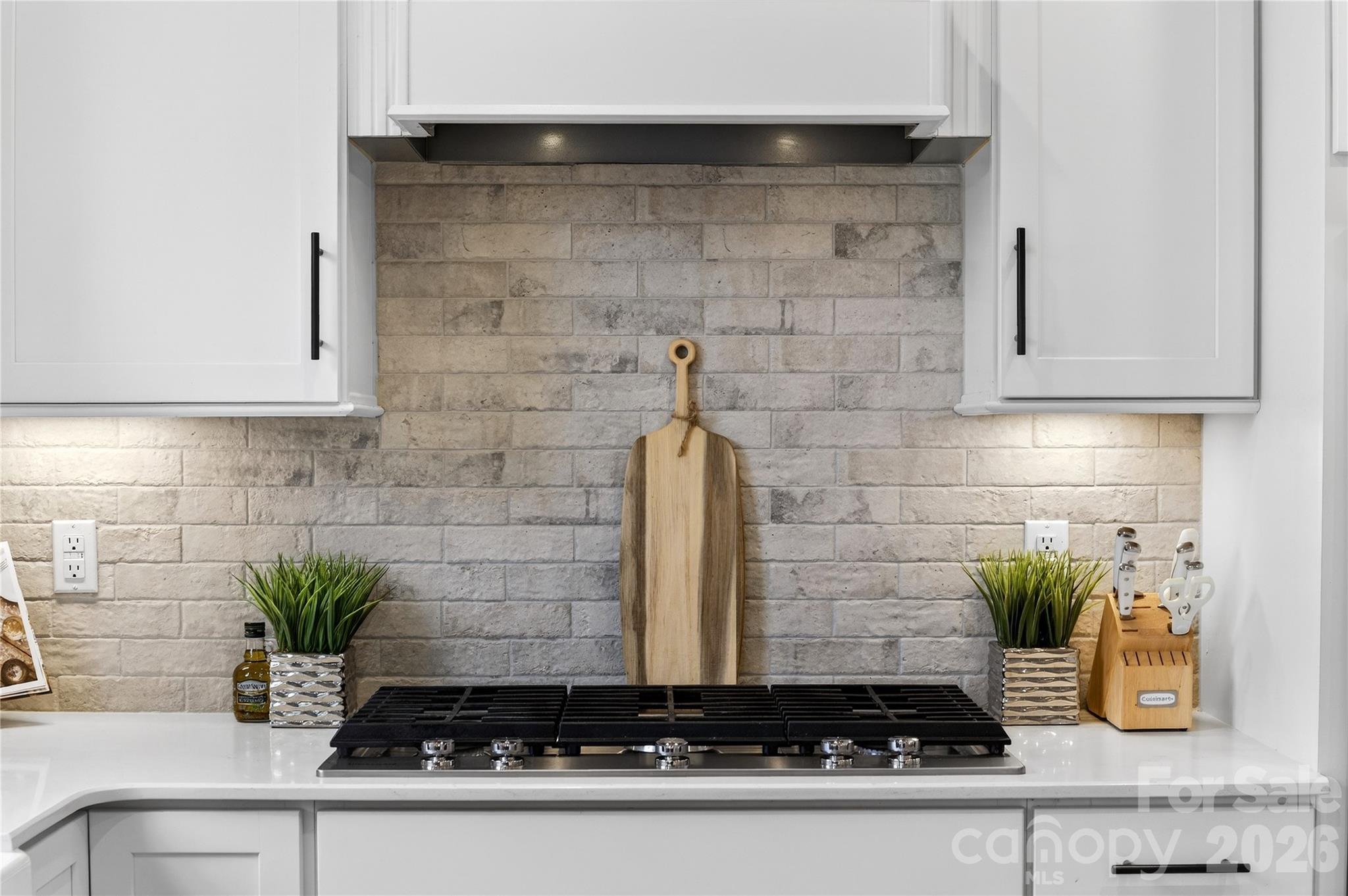 13832 Water Terrace Drive — Huntersville