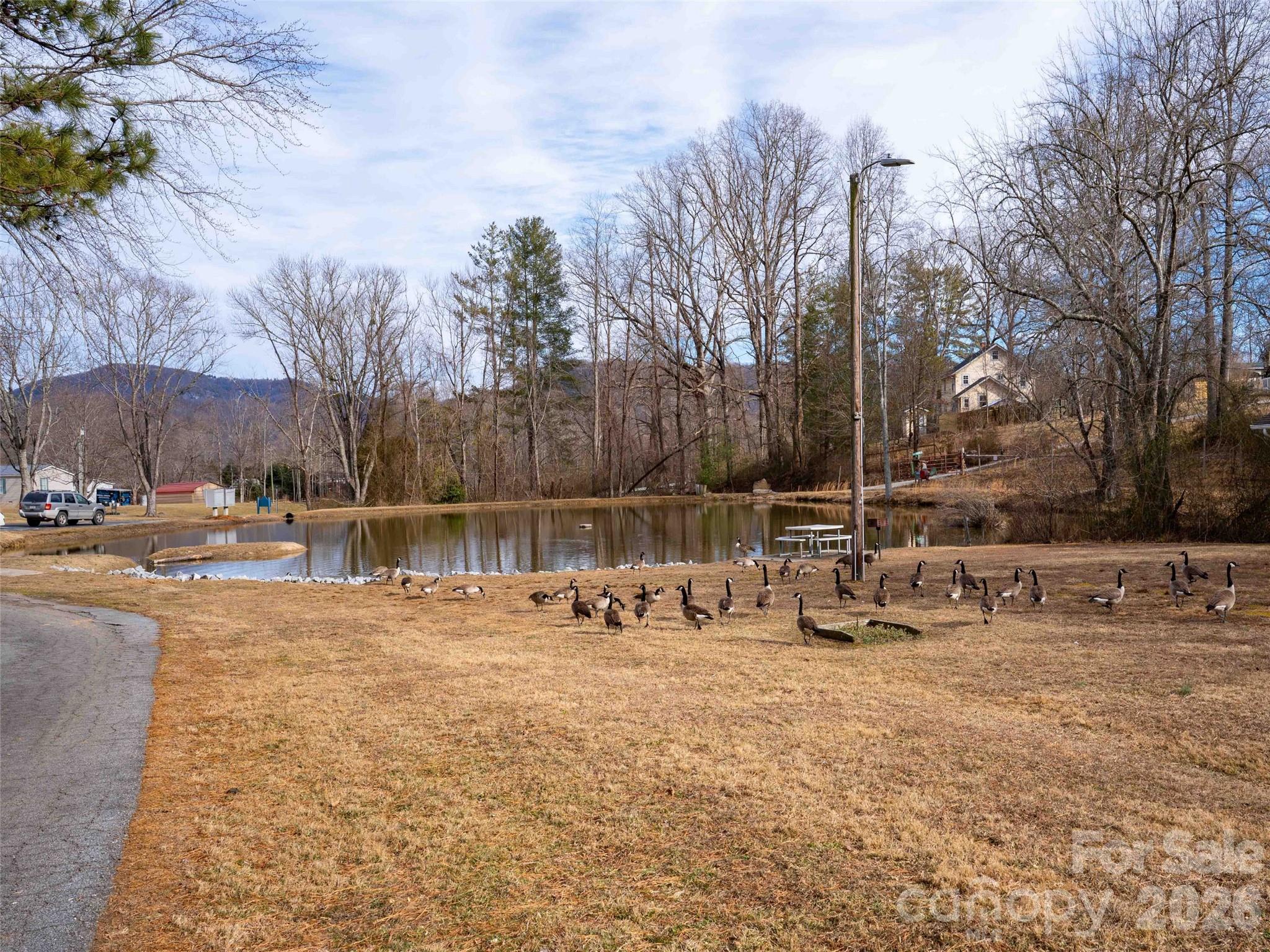 193 Freedom Road — Hendersonville