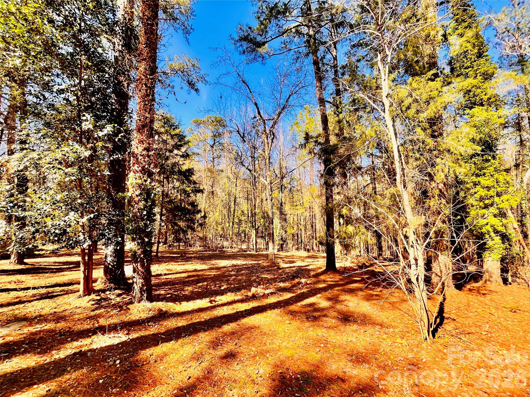 1301 Winterwood Road — Columbia