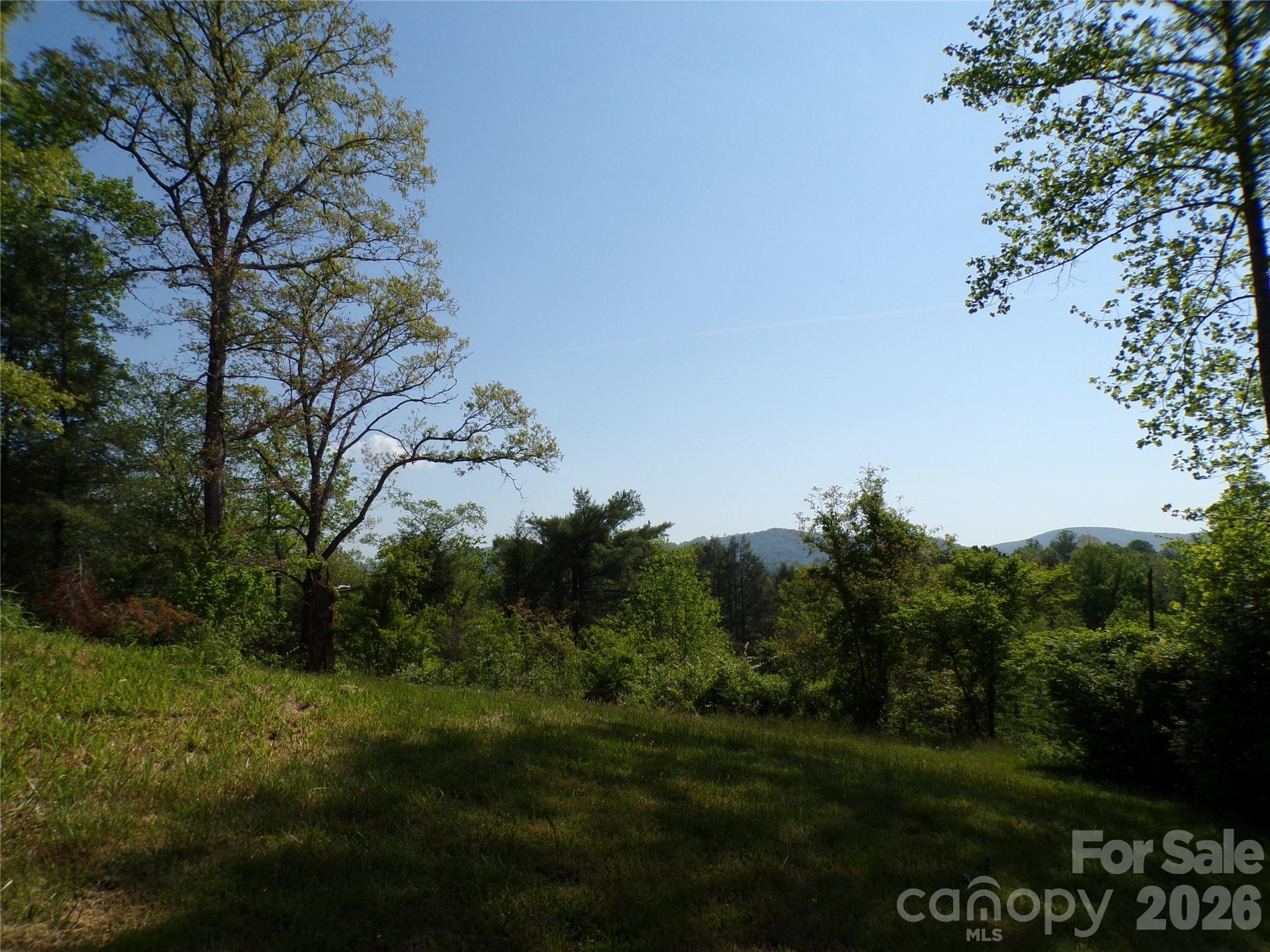 202 Honor Lane — Hendersonville