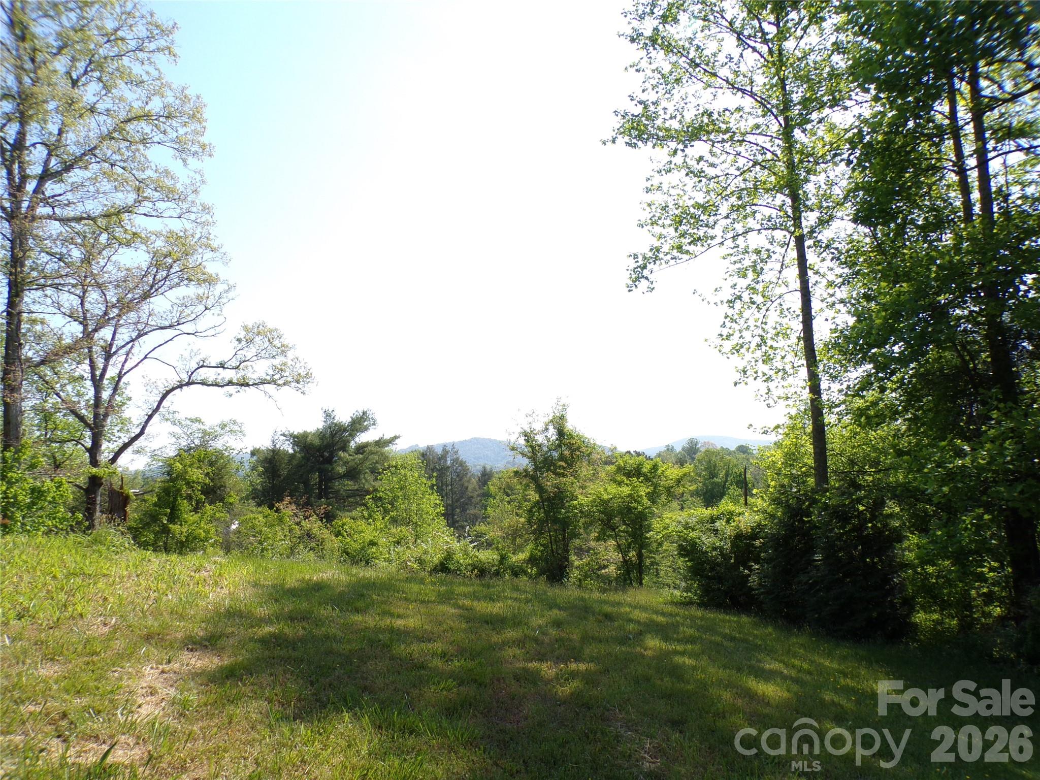 202 Honor Lane — Hendersonville