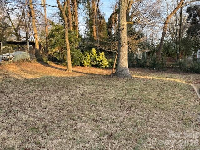 2508 Druid Hills Way — Charlotte