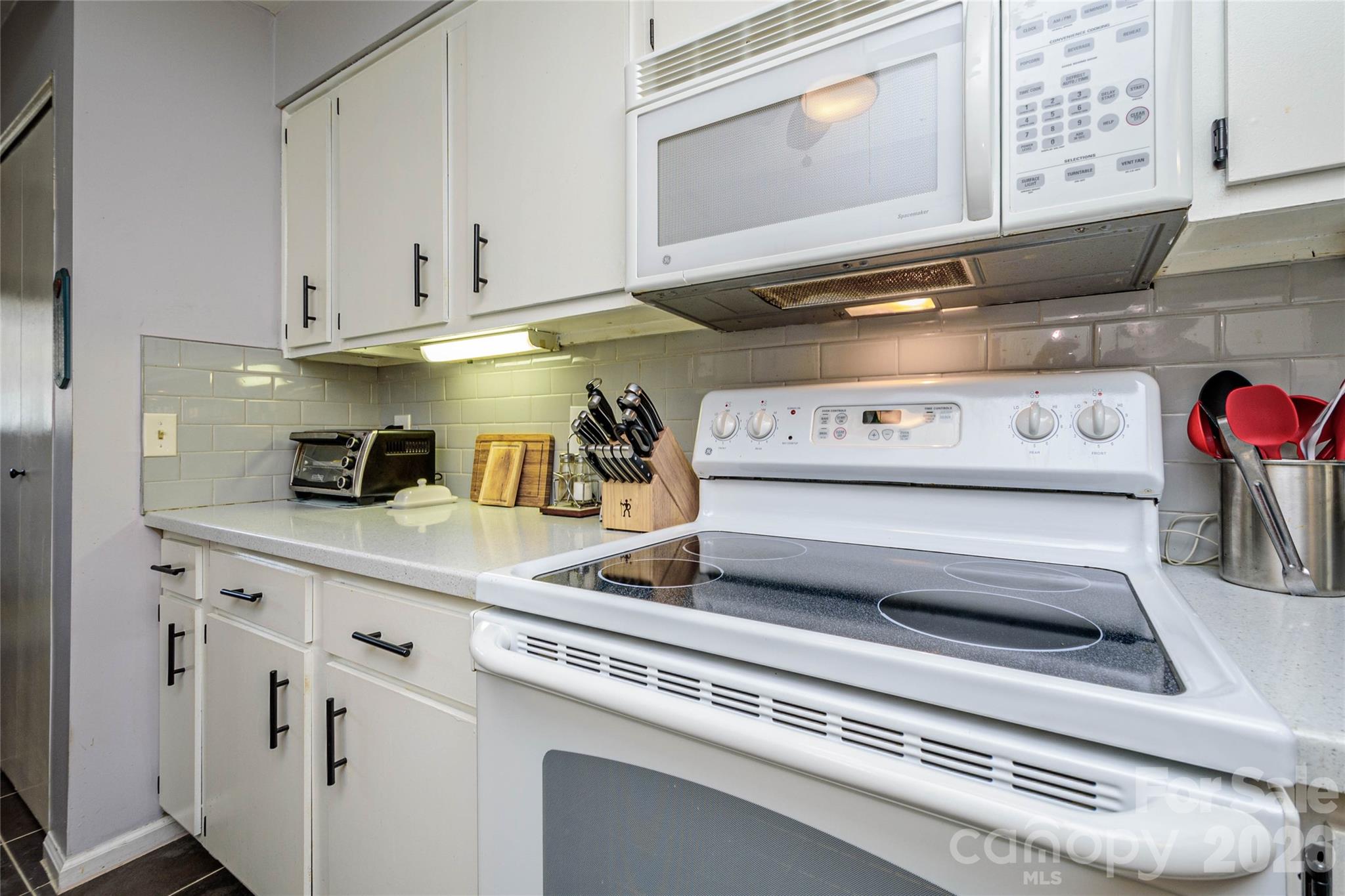 8 Lakemoor Lane #8 — Hendersonville
