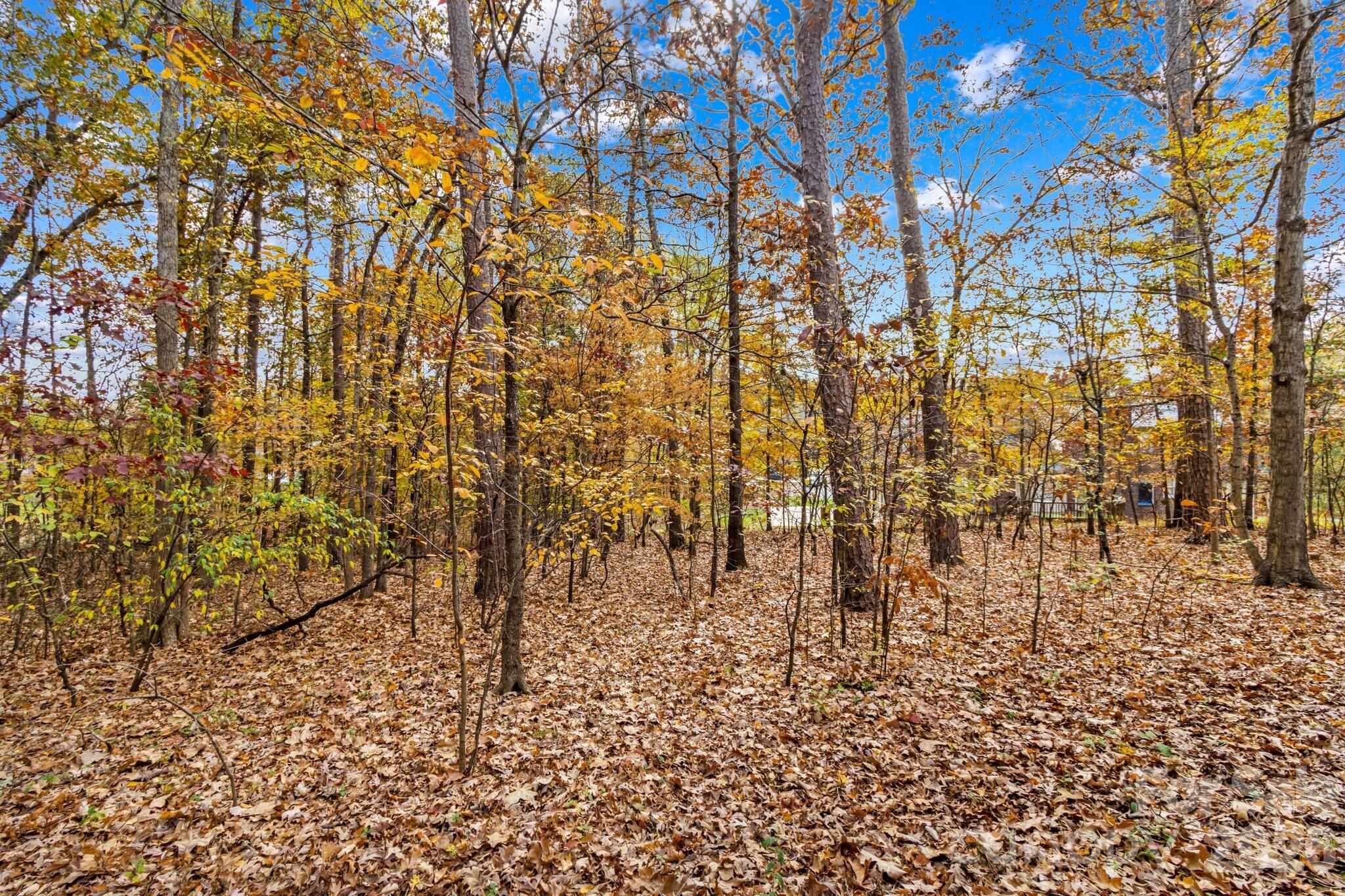 411 Wildwood Drive — Salisbury