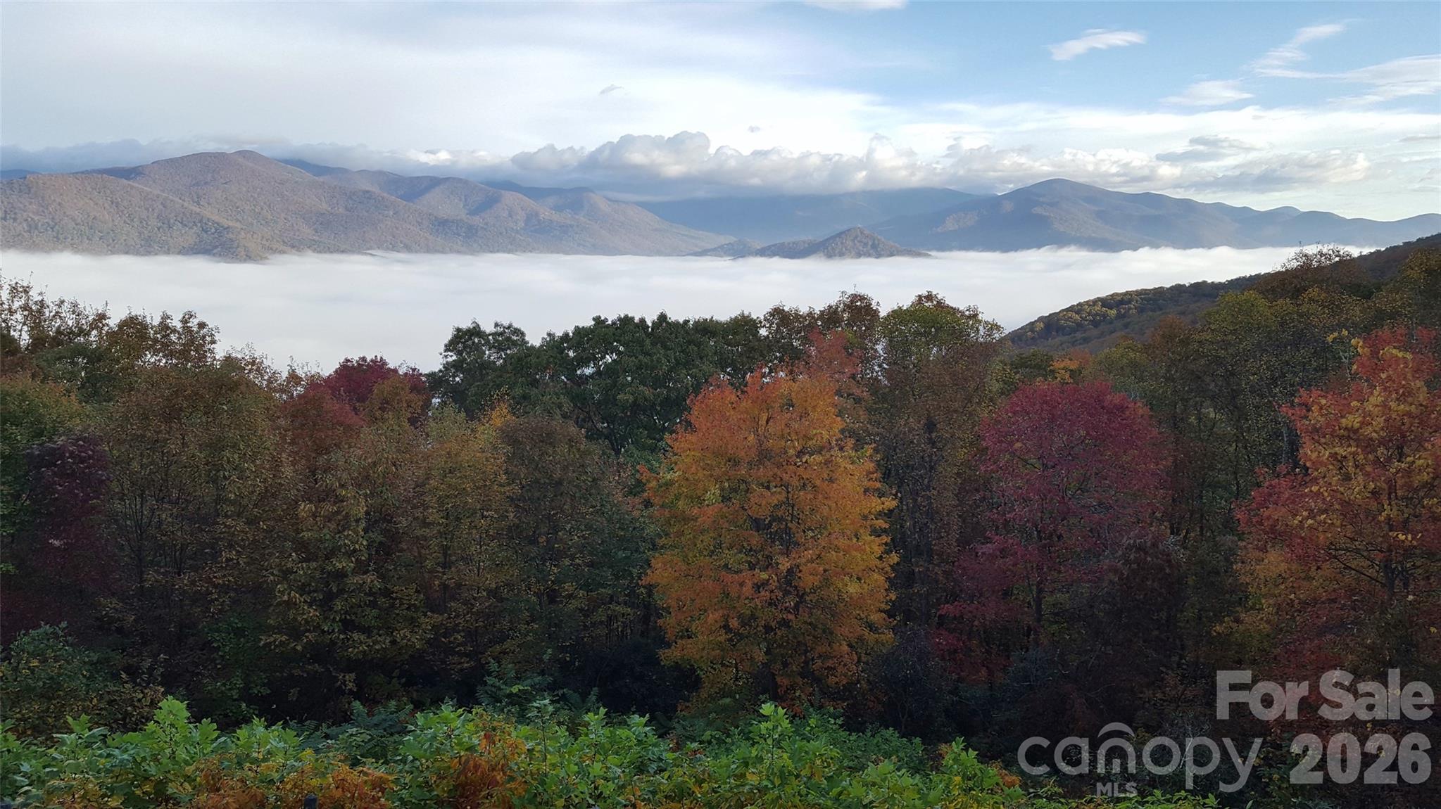 126 Wildflower Cove Drive — Swannanoa