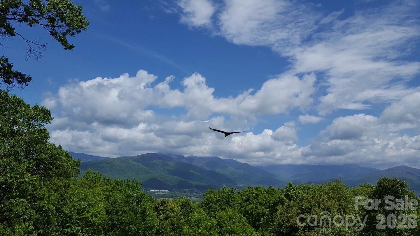 126 Wildflower Cove Drive — Swannanoa