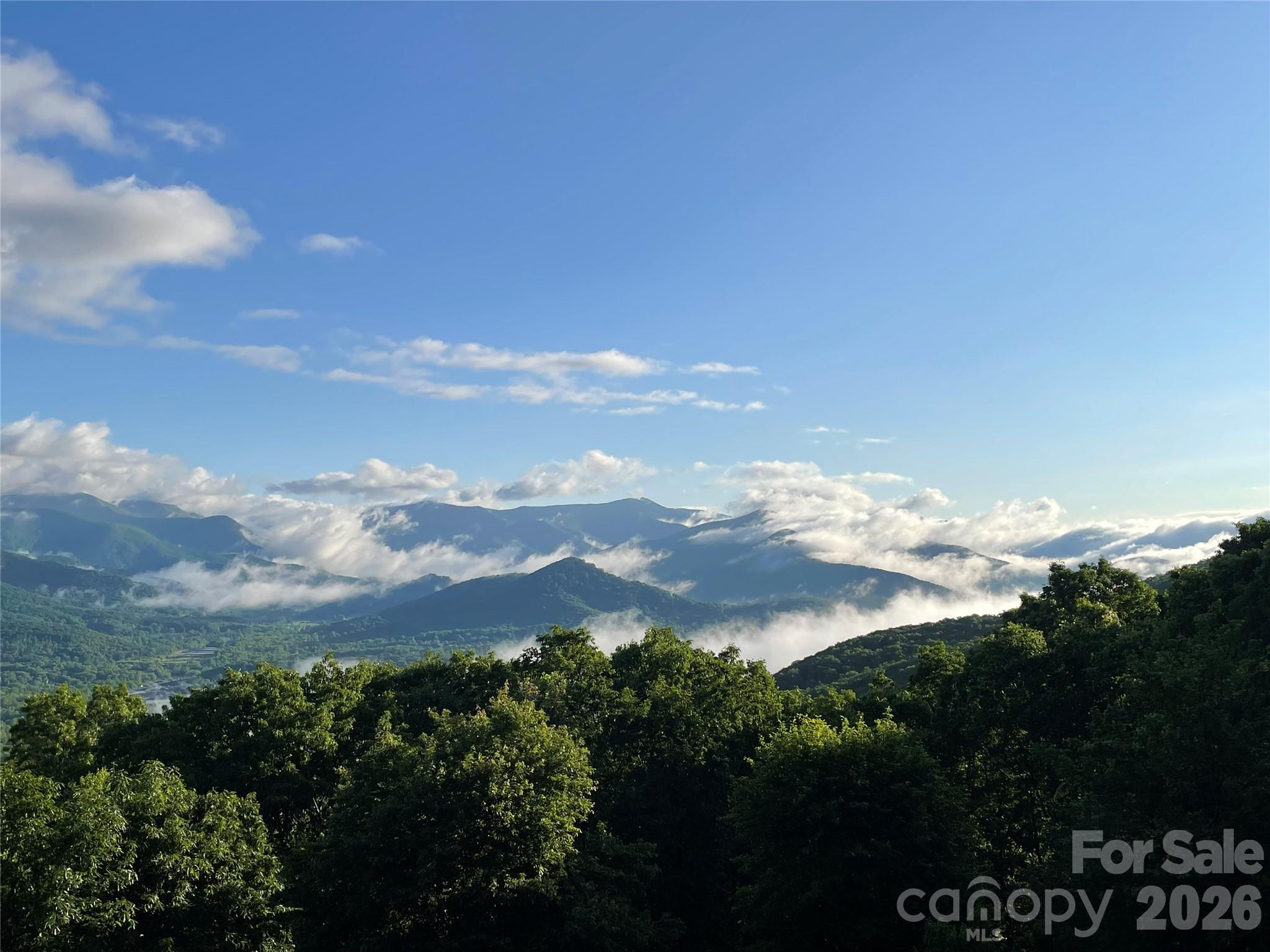 126 Wildflower Cove Drive — Swannanoa