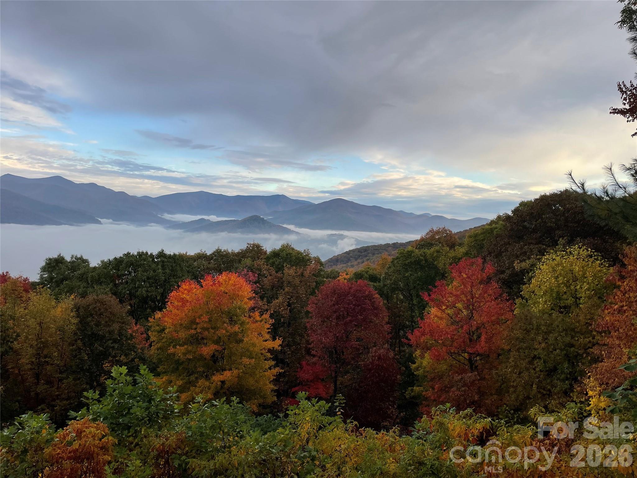 126 Wildflower Cove Drive — Swannanoa
