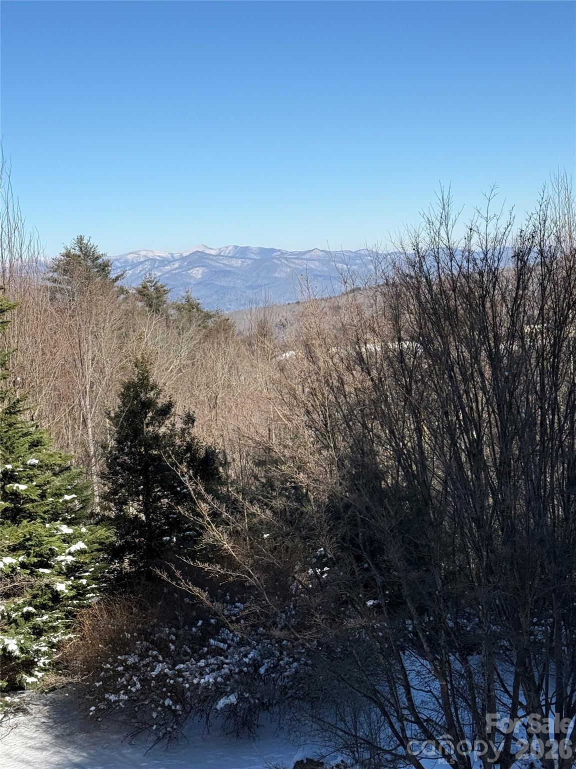 266 Lost Mine Trail — Brevard