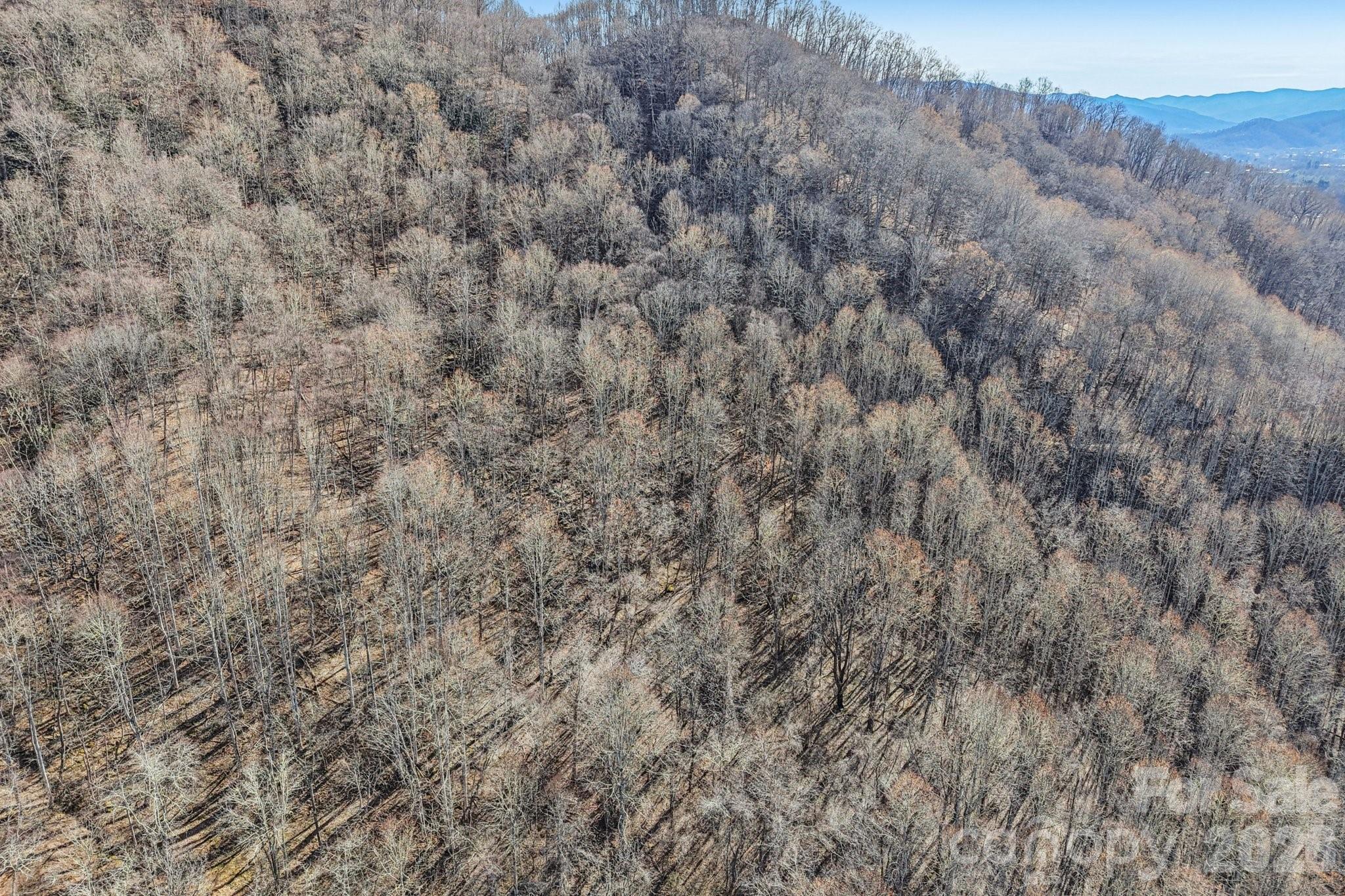530 Wilson Cove Road — Canton