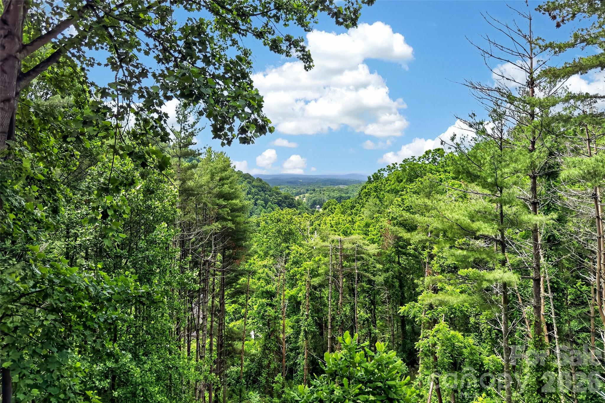 491 S Valley View Drive — Mars Hill