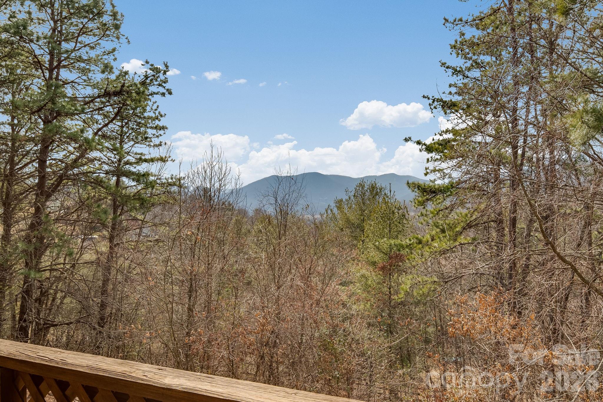 1330 Maple Springs Drive — Waynesville