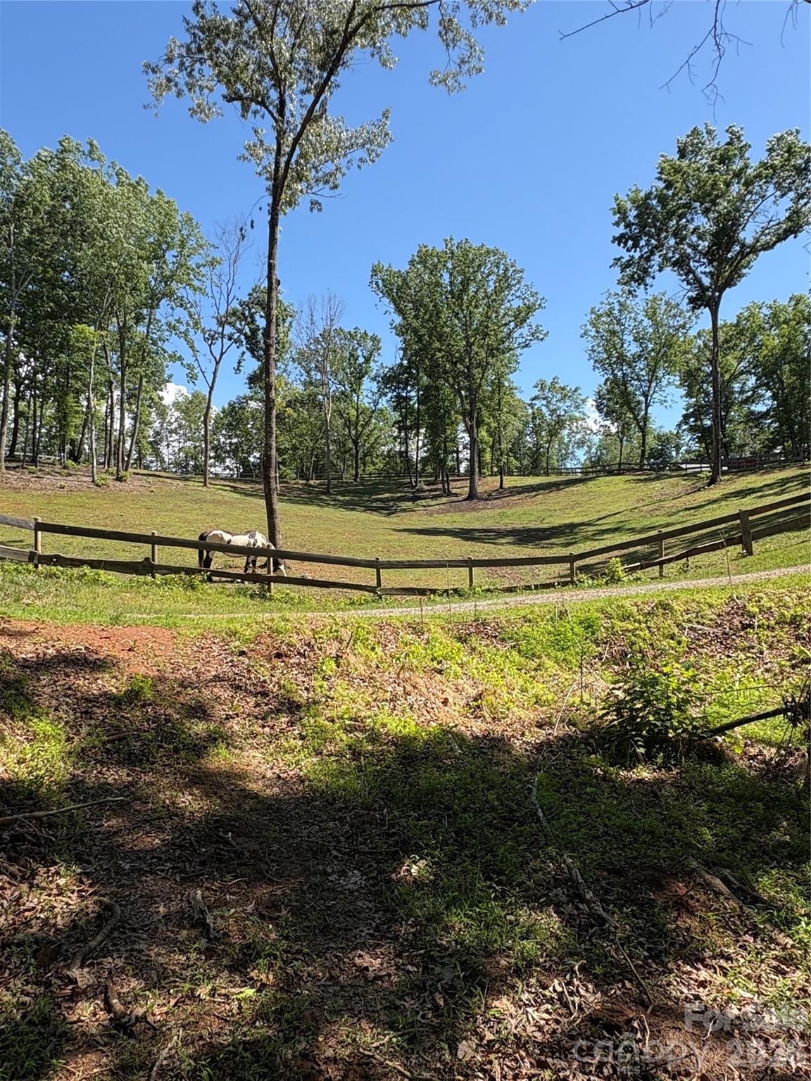 250 Burt Blackwell Road — Mill Spring